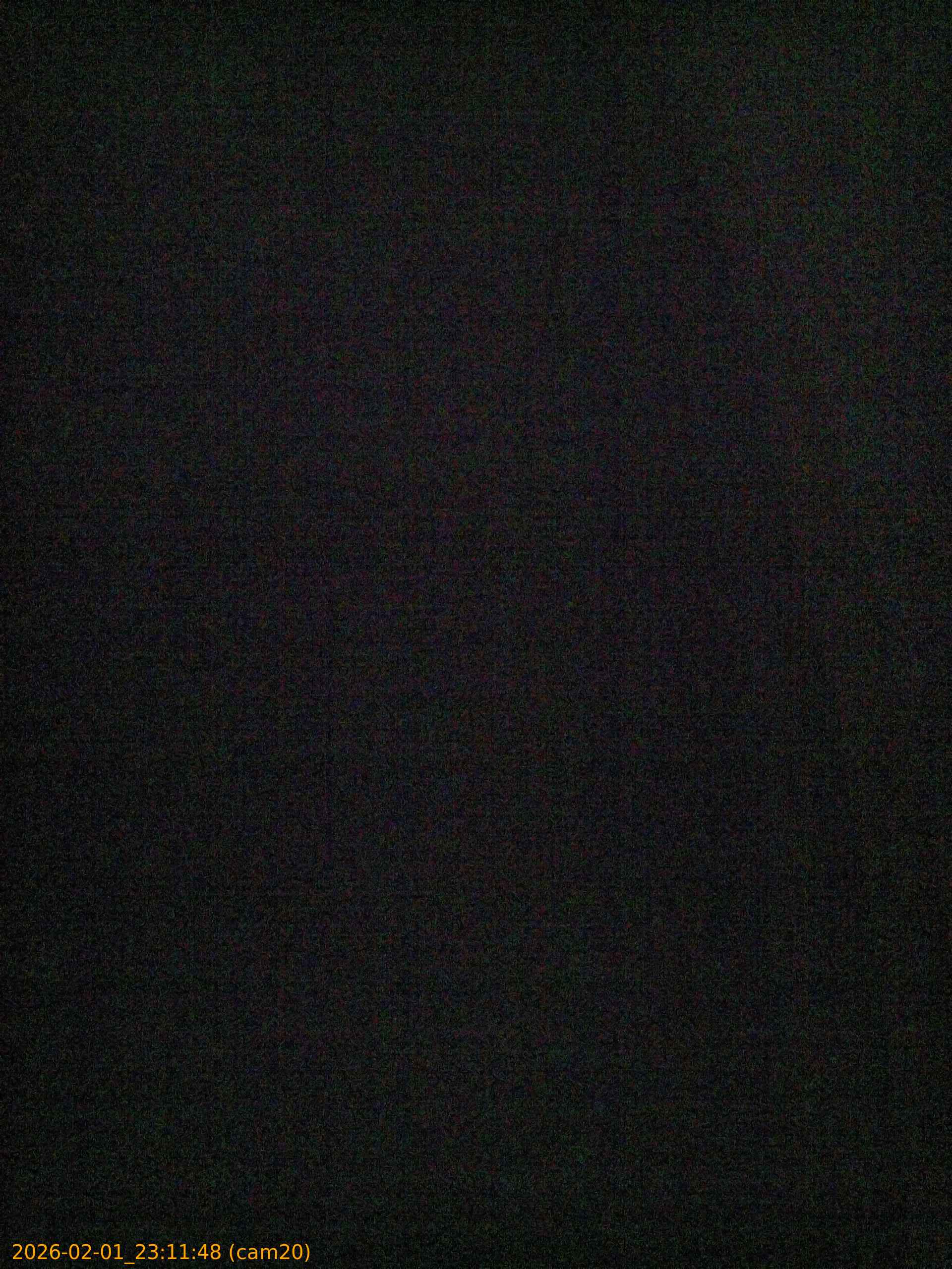 thumbnail_20260201231148