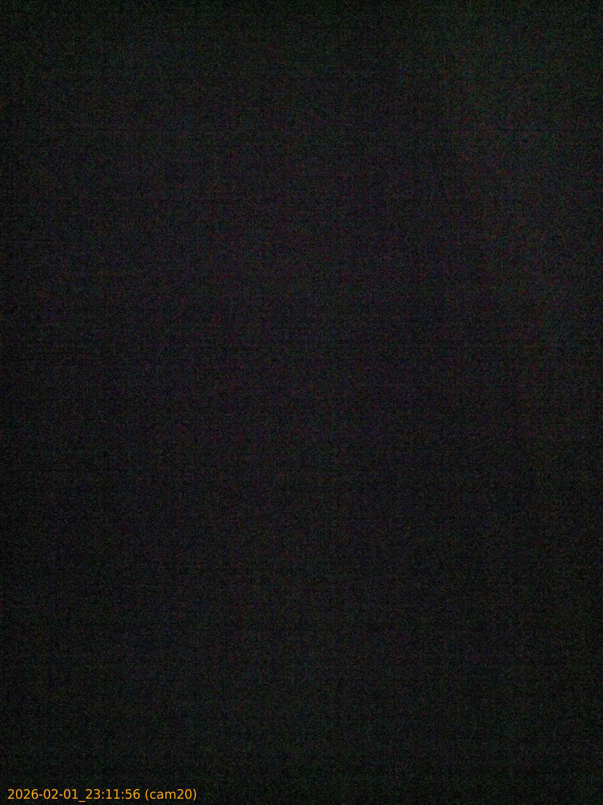 thumbnail_20260201231156