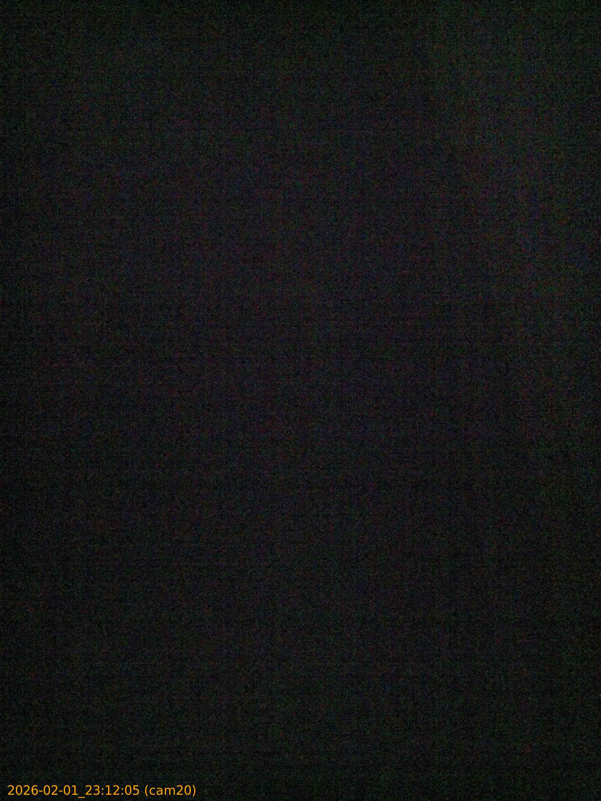 thumbnail_20260201231204