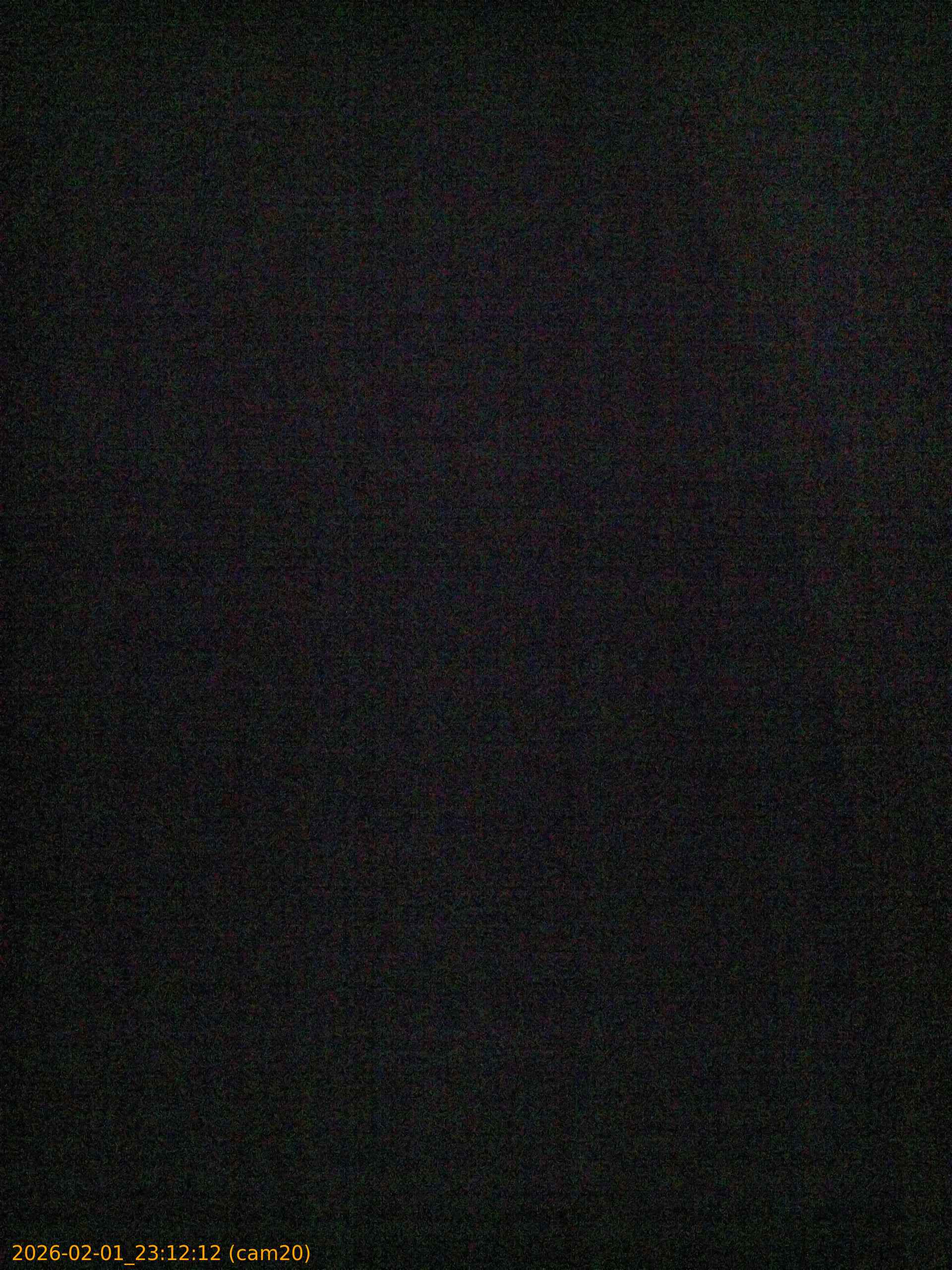 thumbnail_20260201231212