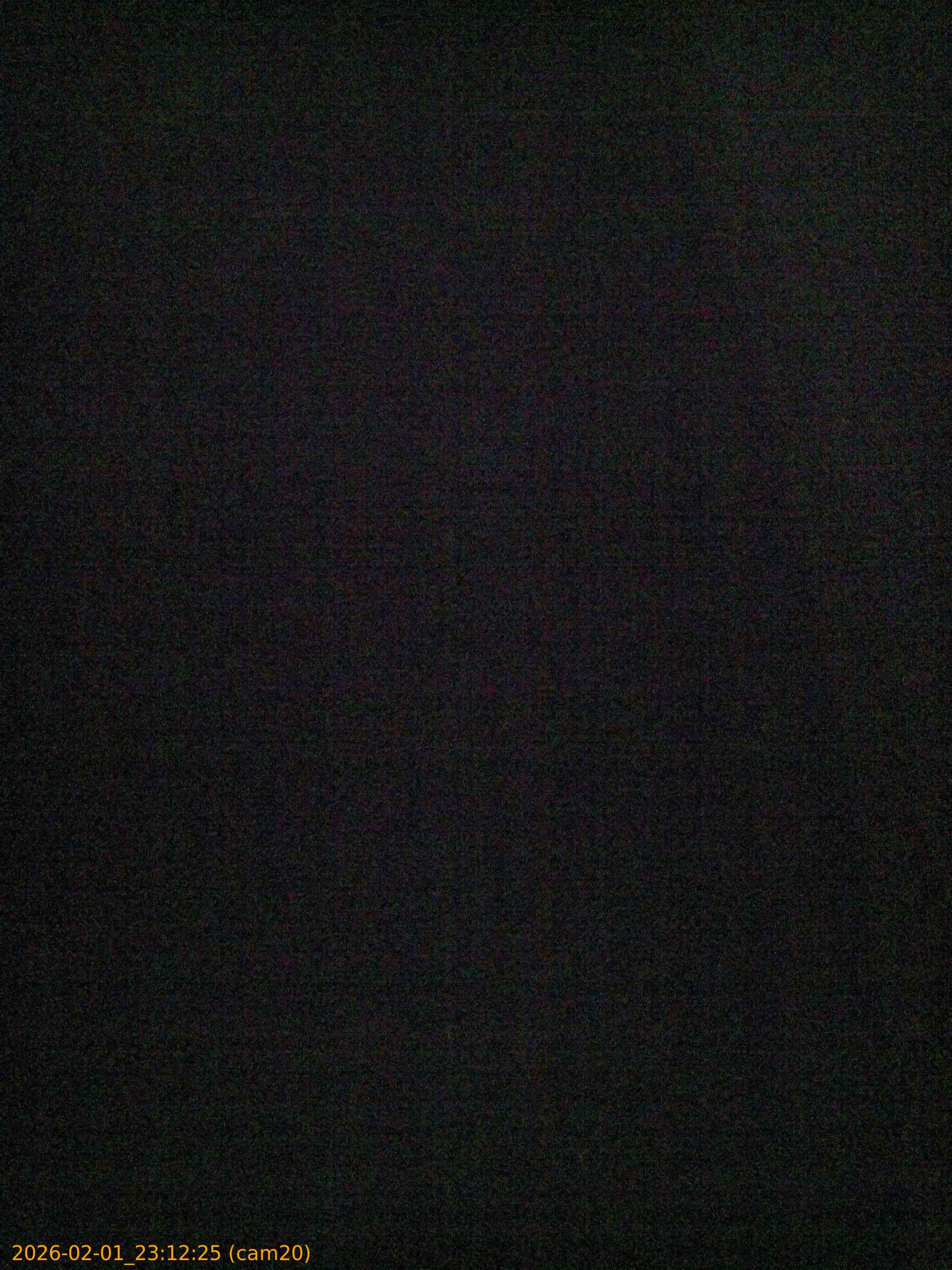 thumbnail_20260201231224