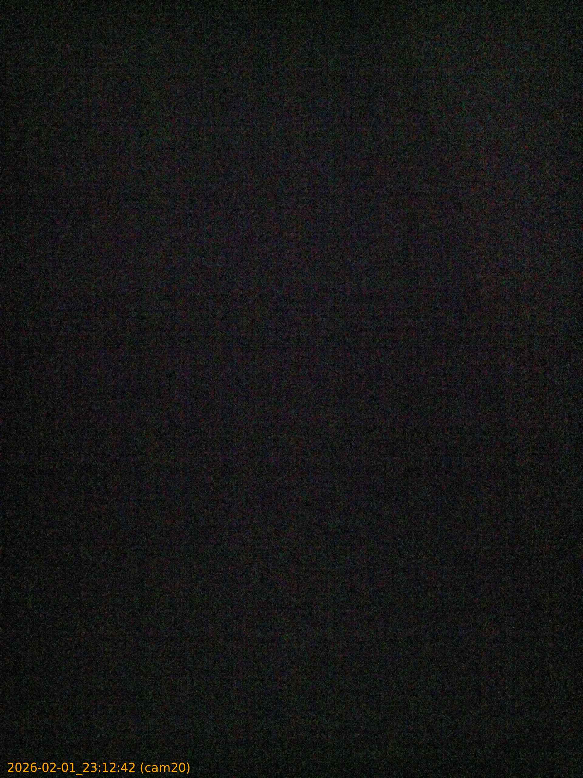 thumbnail_20260201231242