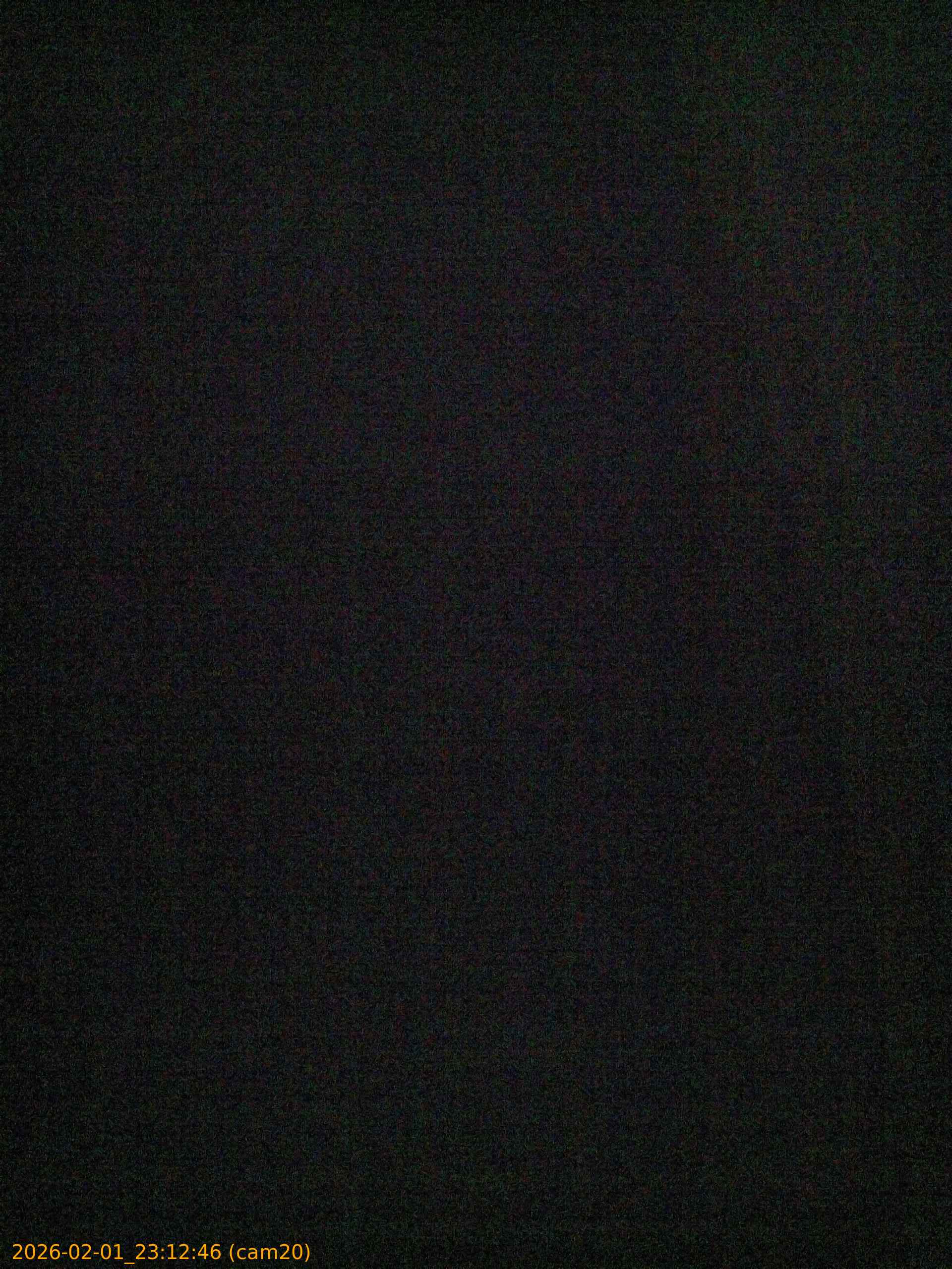 thumbnail_20260201231246