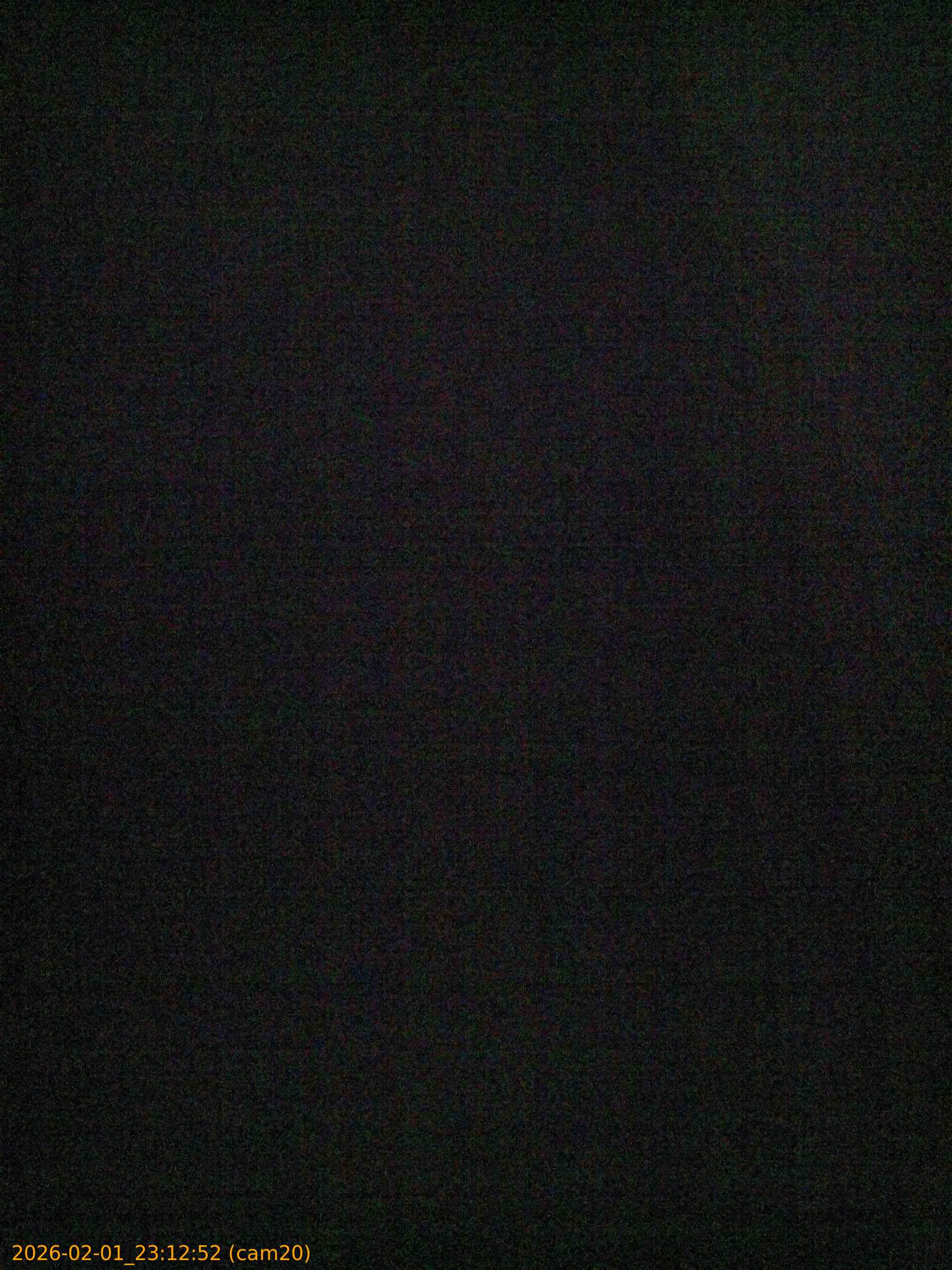 thumbnail_20260201231252