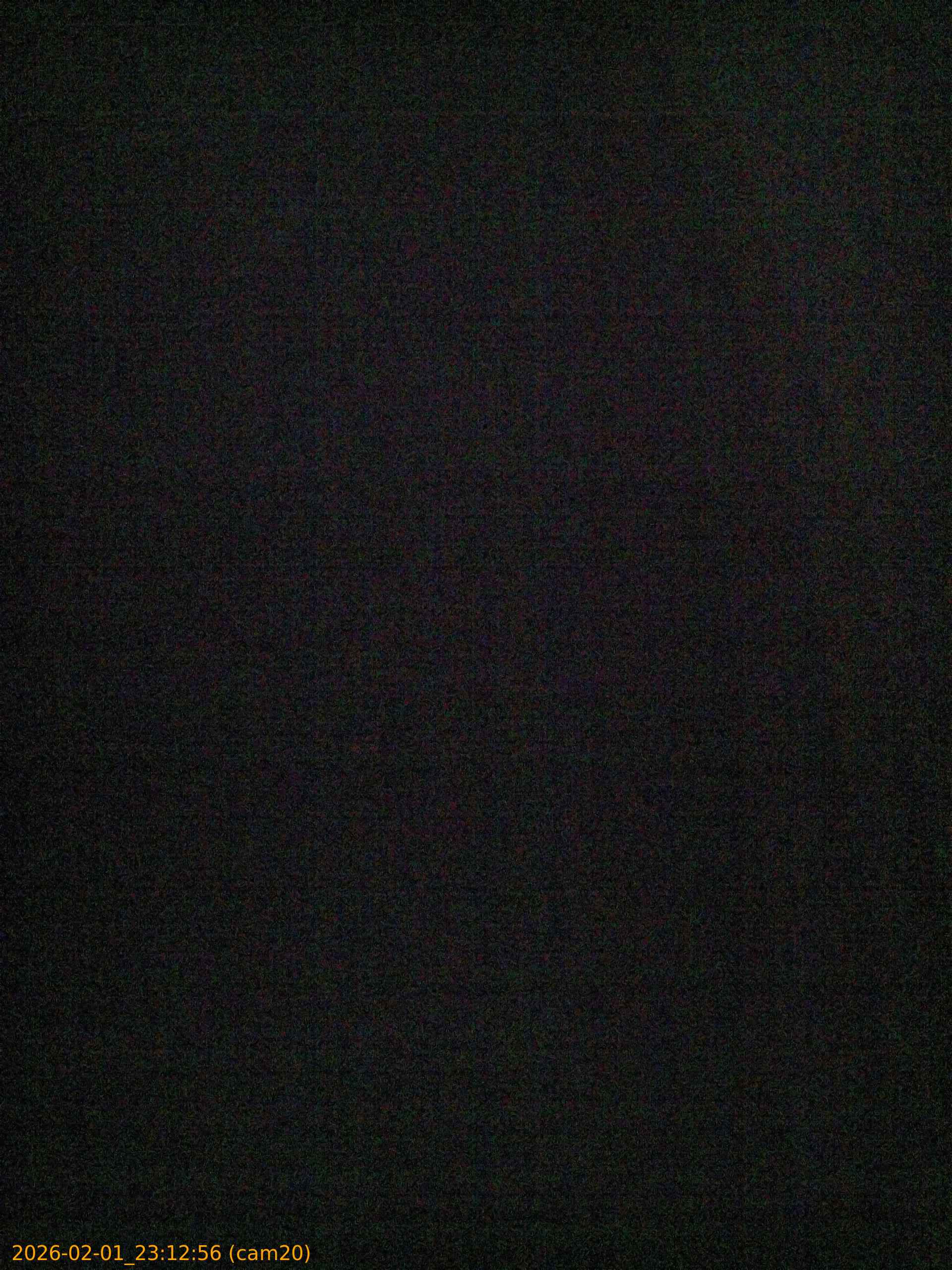 thumbnail_20260201231256