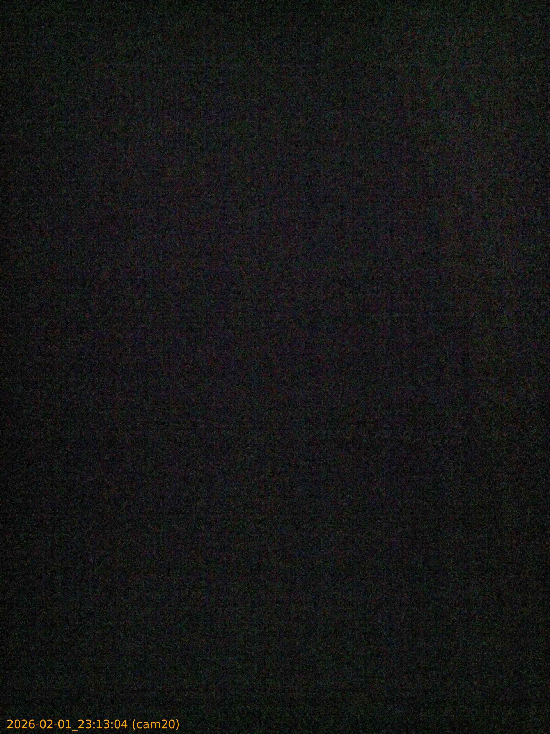 thumbnail_20260201231304