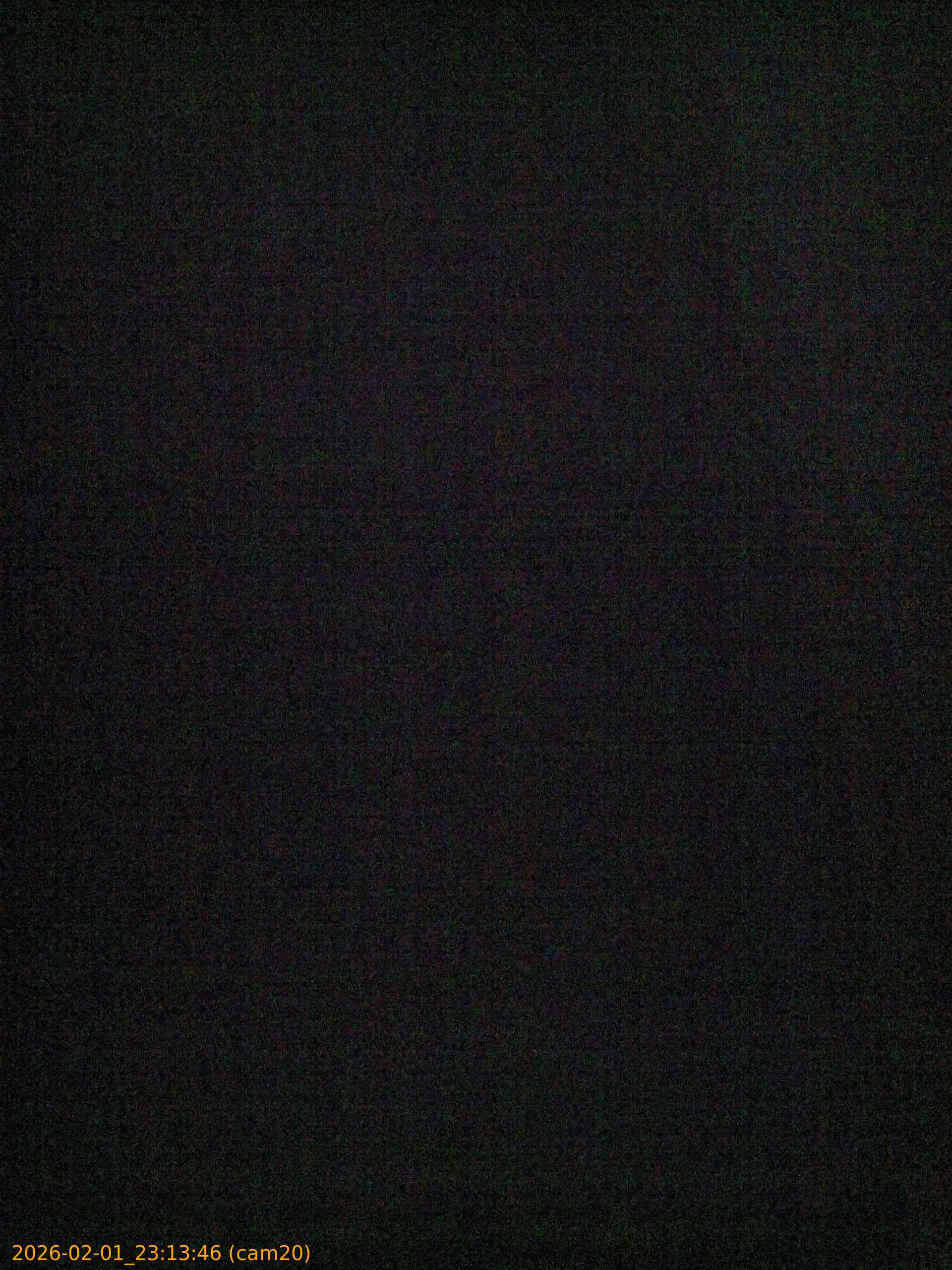 thumbnail_20260201231346