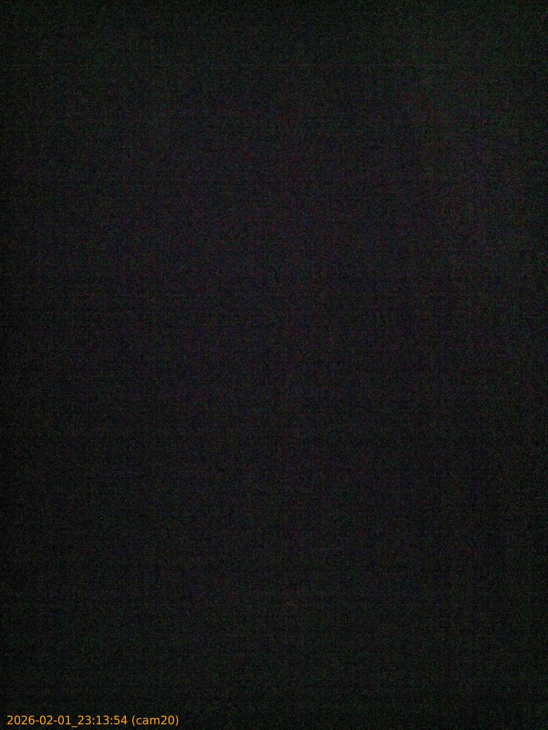 thumbnail_20260201231354