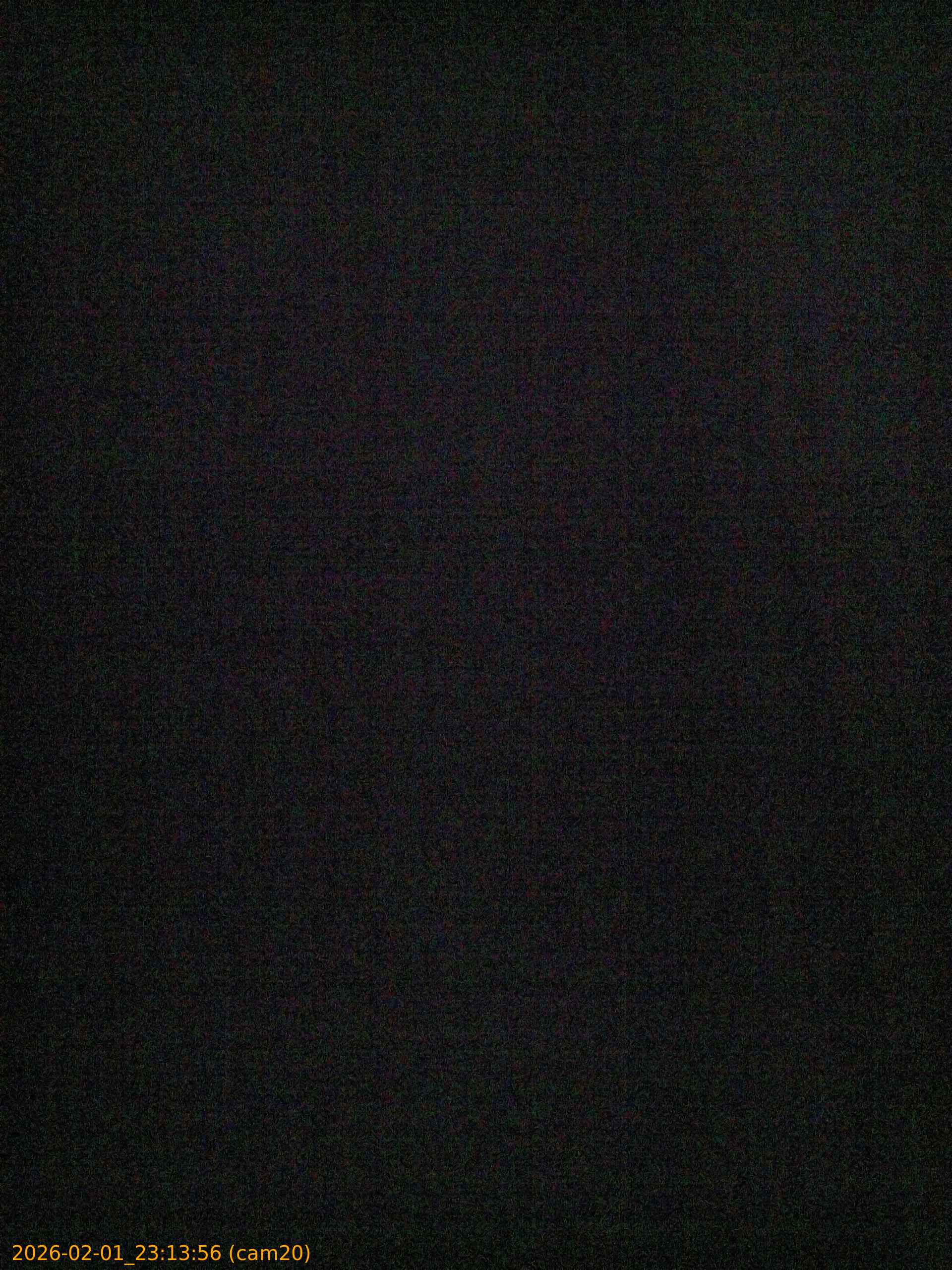 thumbnail_20260201231356