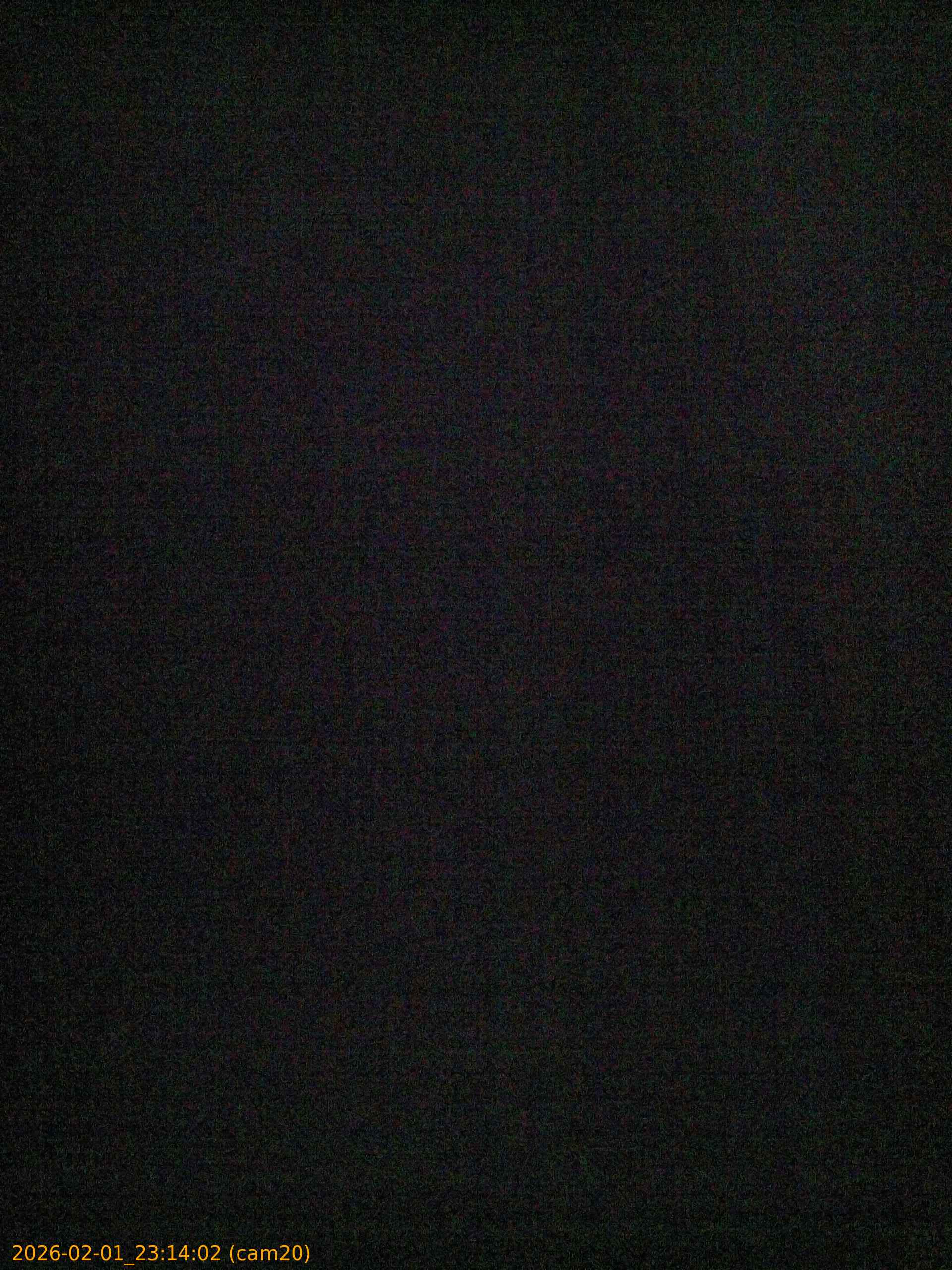 thumbnail_20260201231402