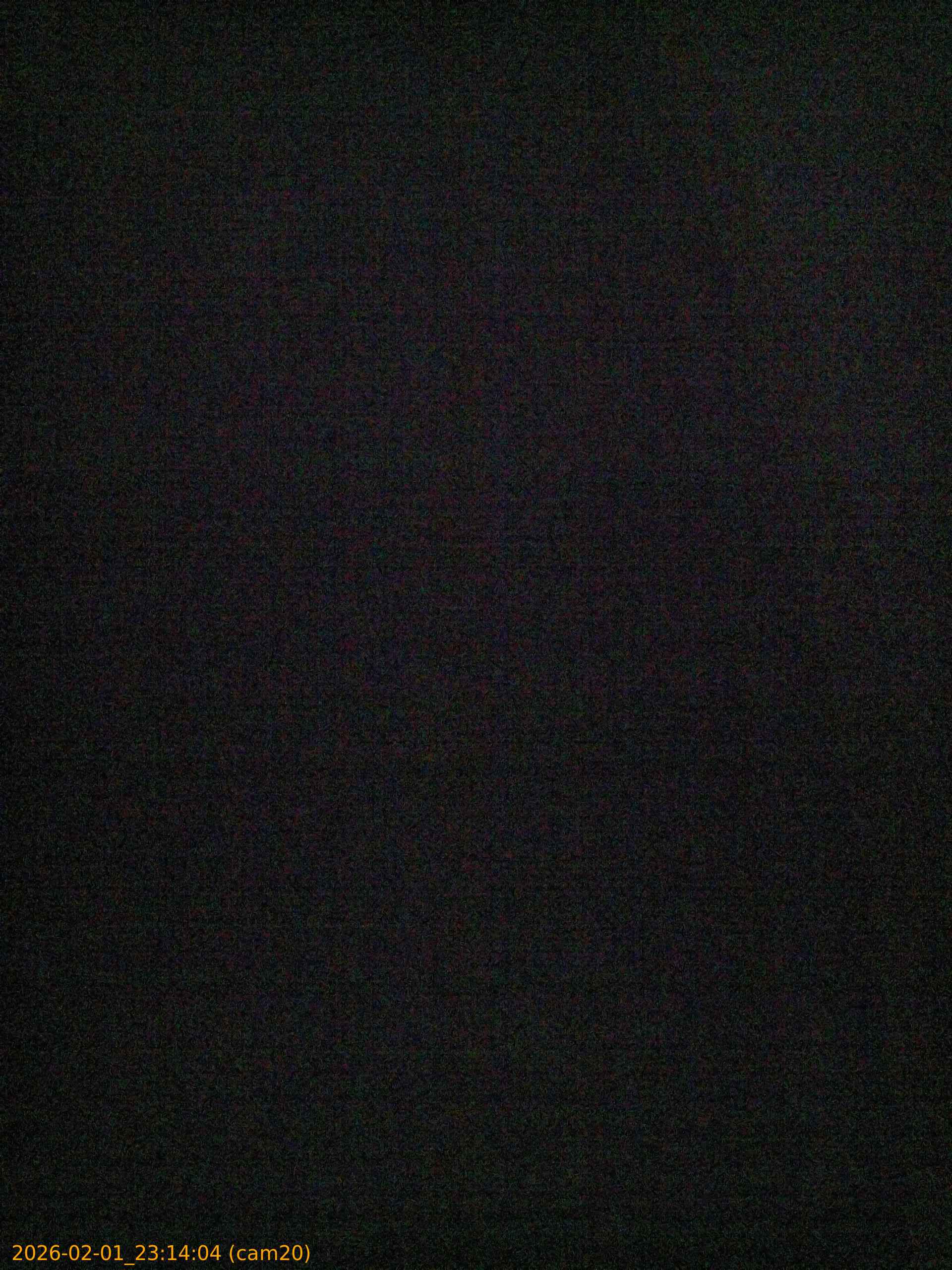 thumbnail_20260201231404