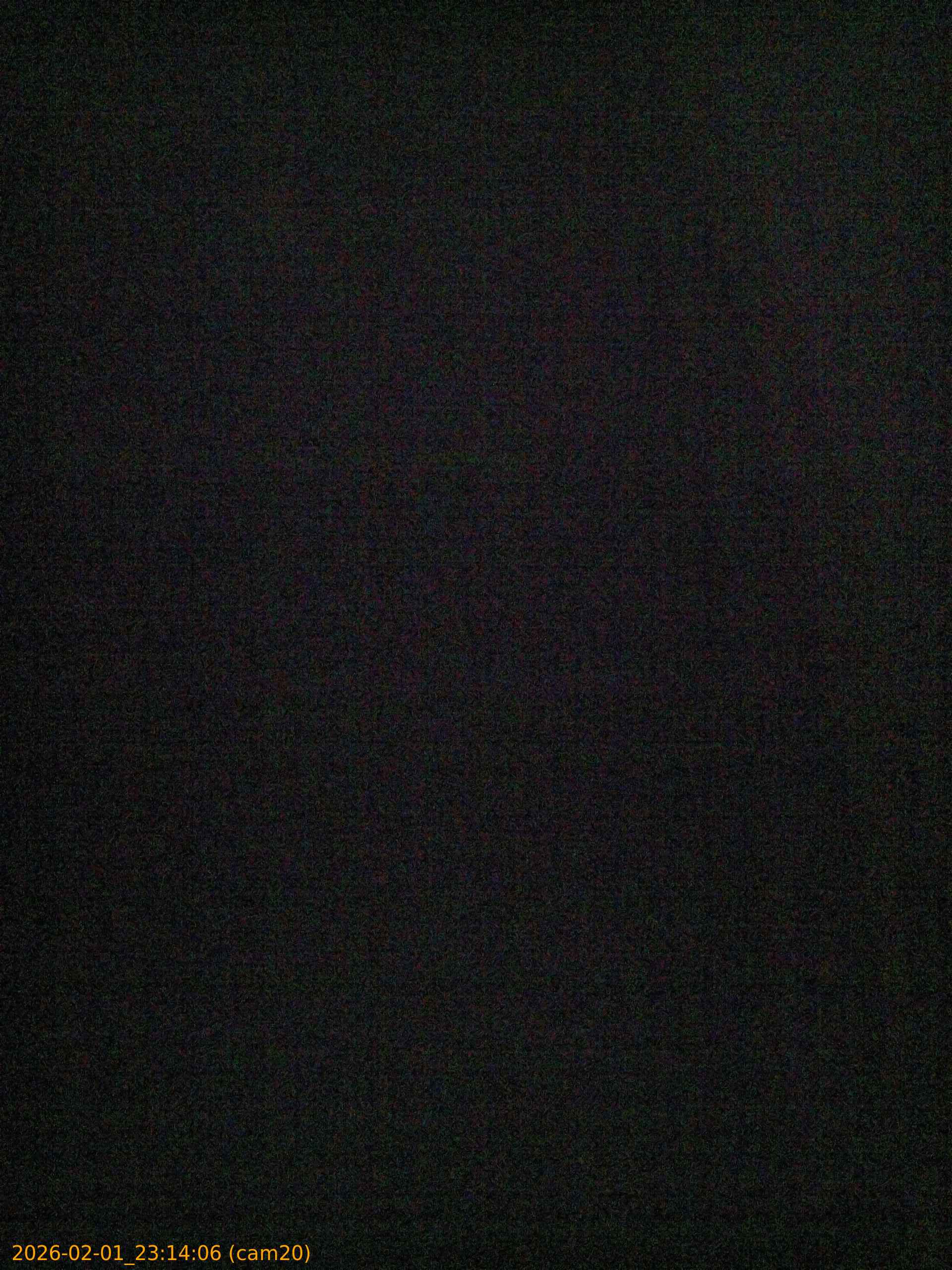 thumbnail_20260201231406