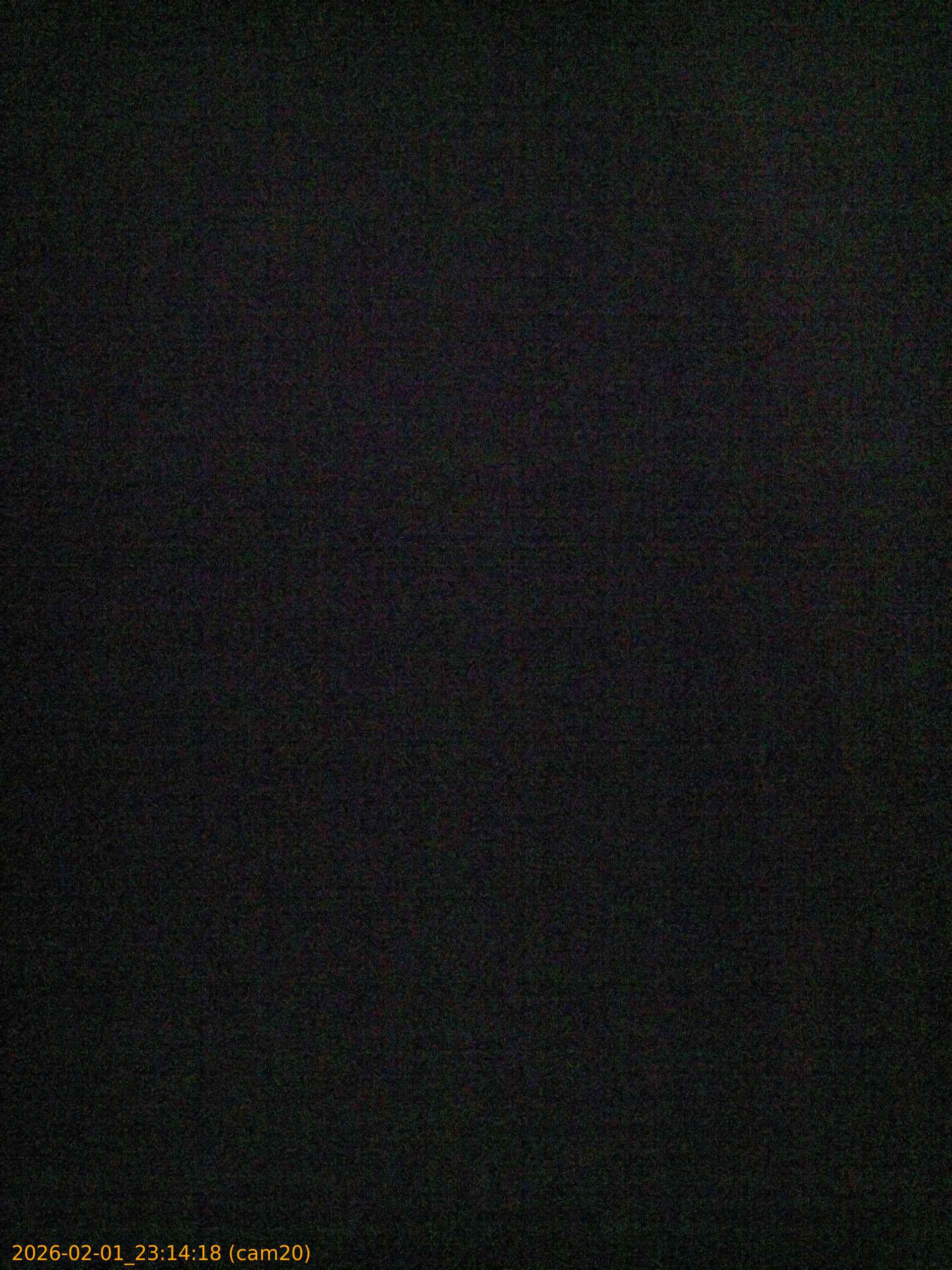 thumbnail_20260201231418