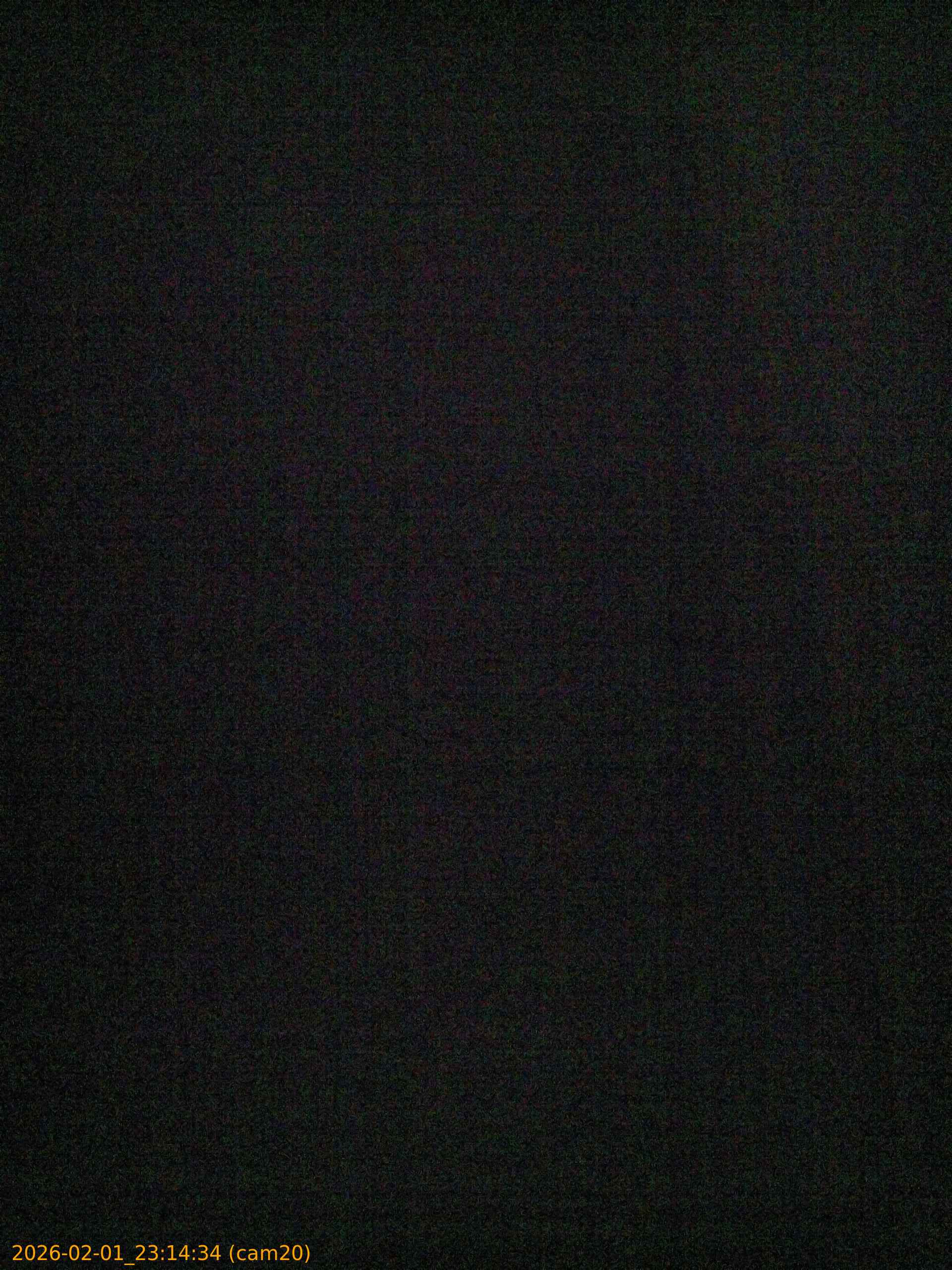 thumbnail_20260201231434