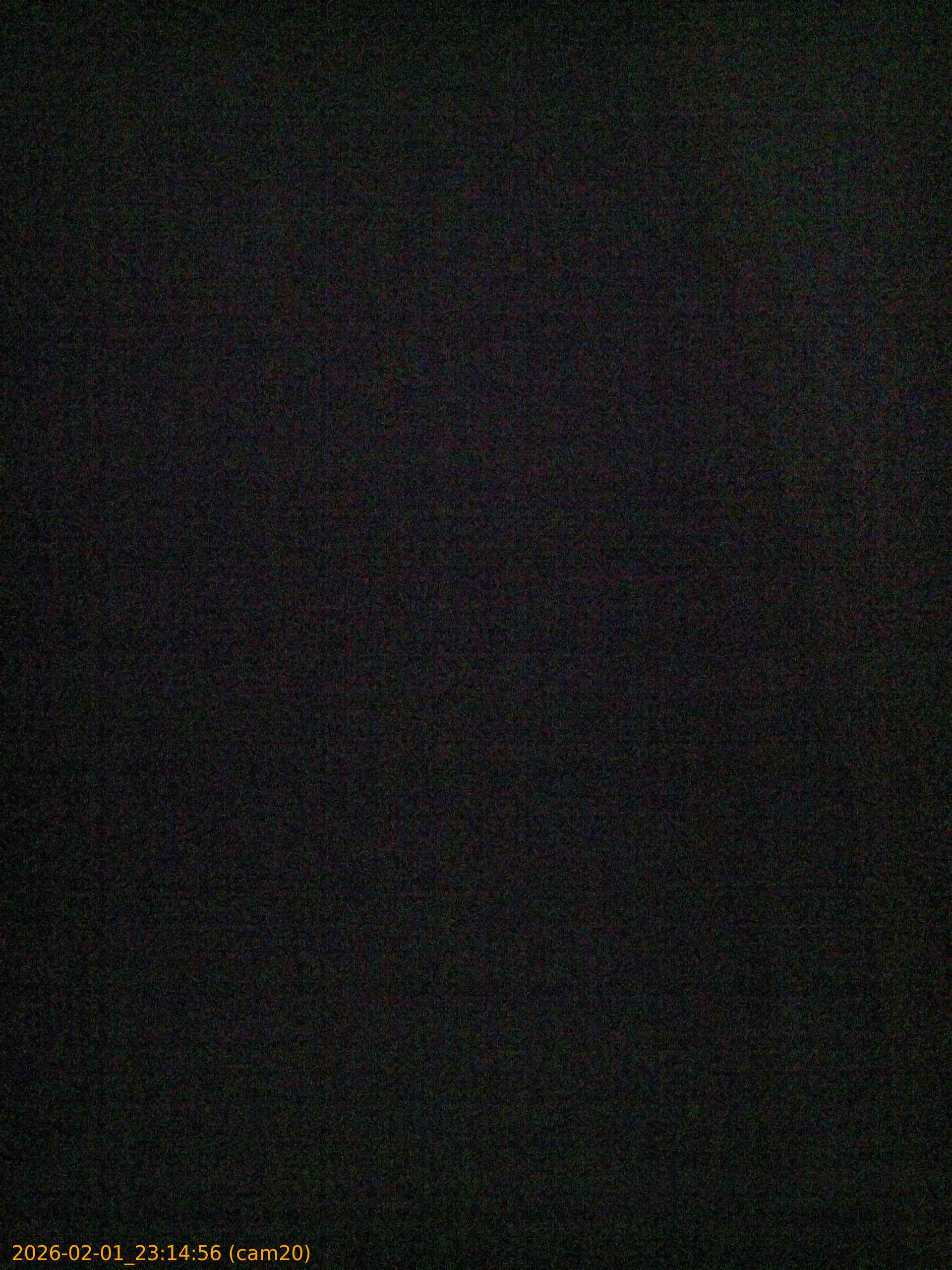 thumbnail_20260201231456