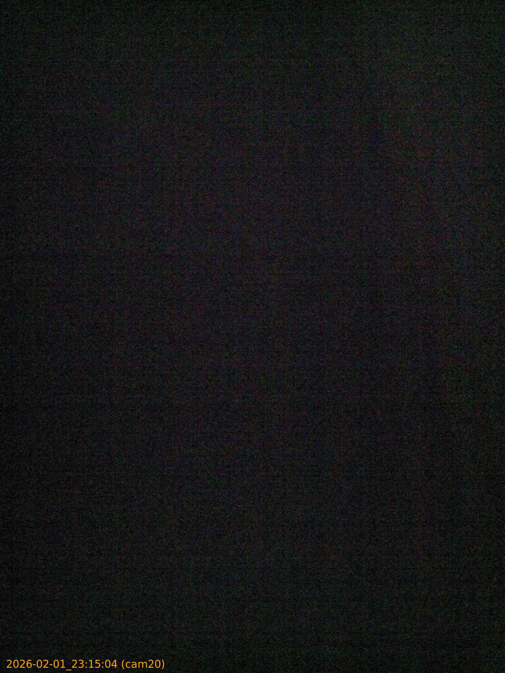 thumbnail_20260201231504