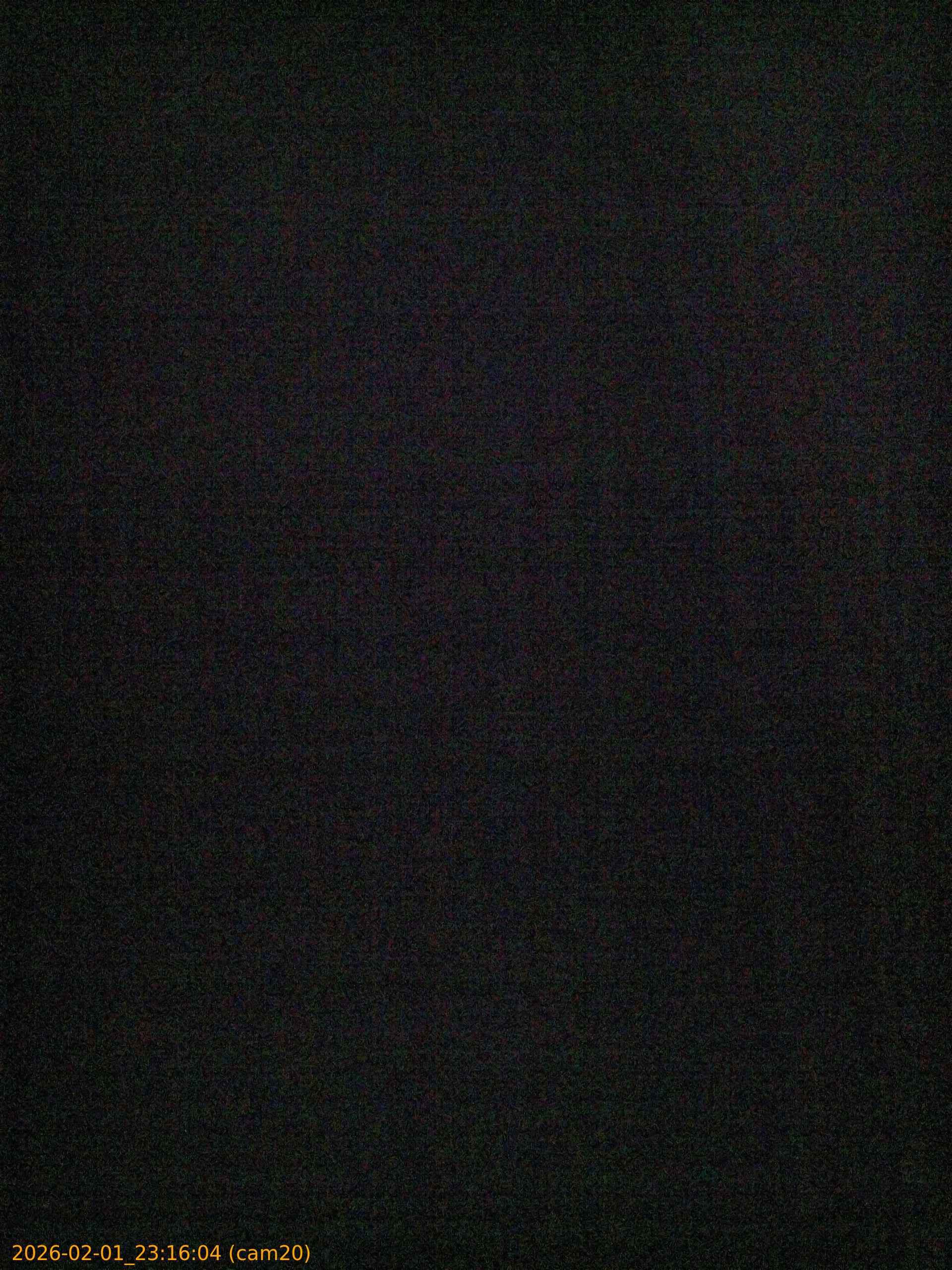 thumbnail_20260201231604