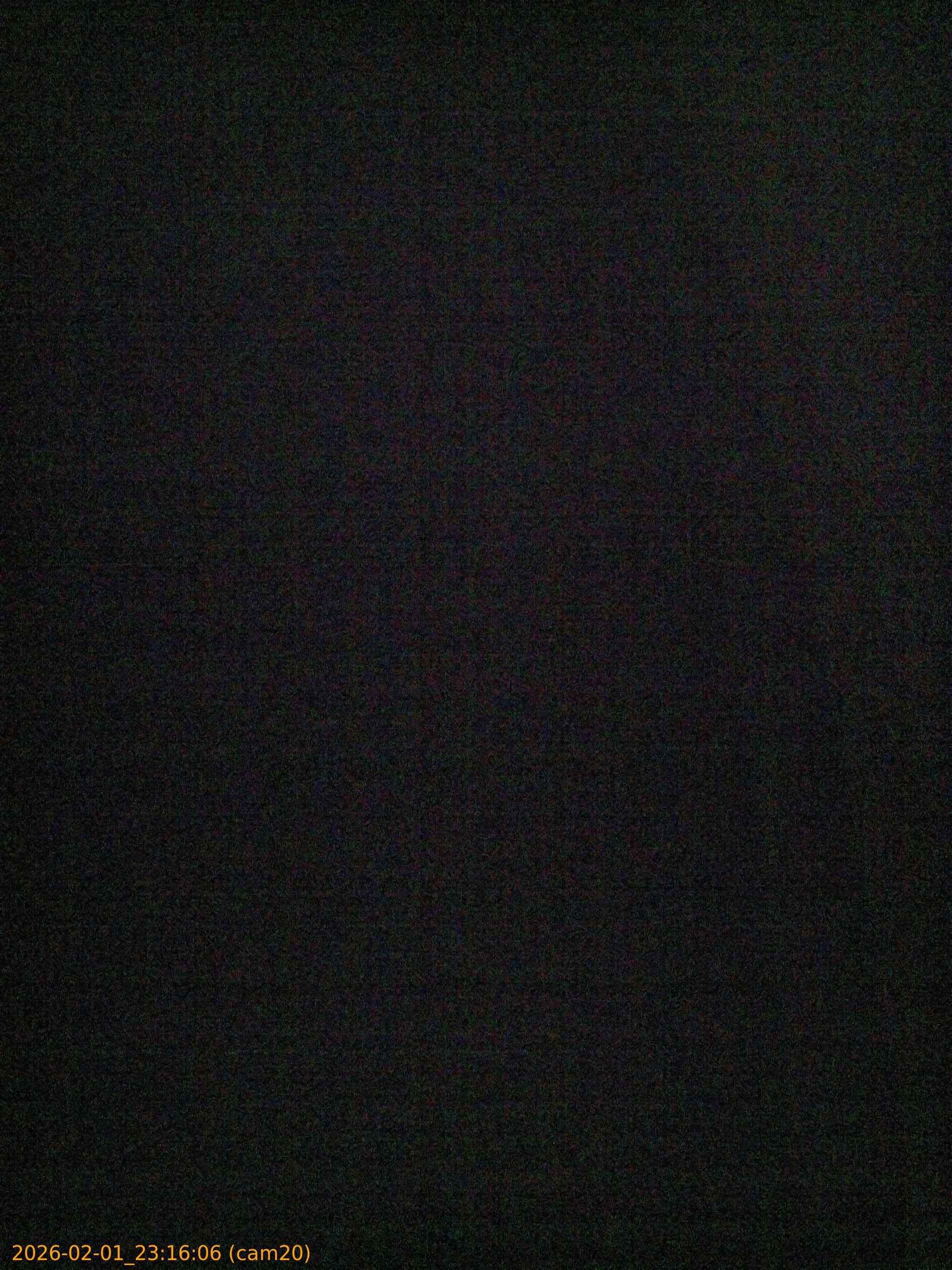 thumbnail_20260201231606