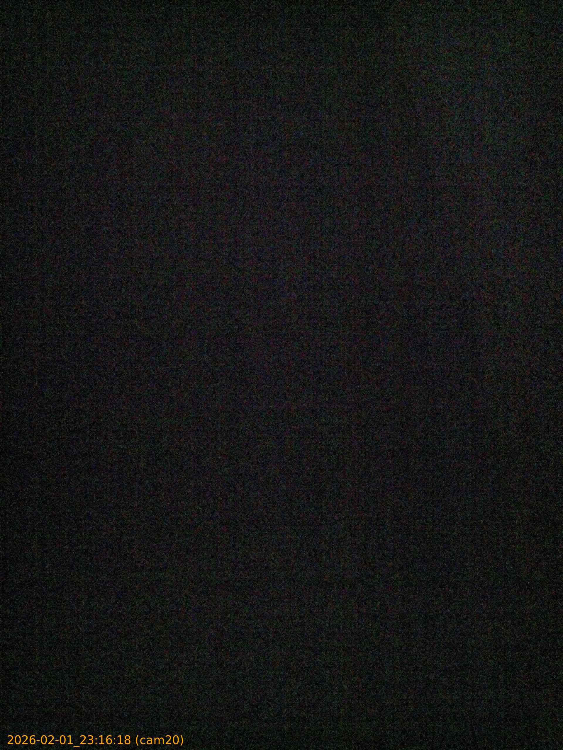 thumbnail_20260201231618