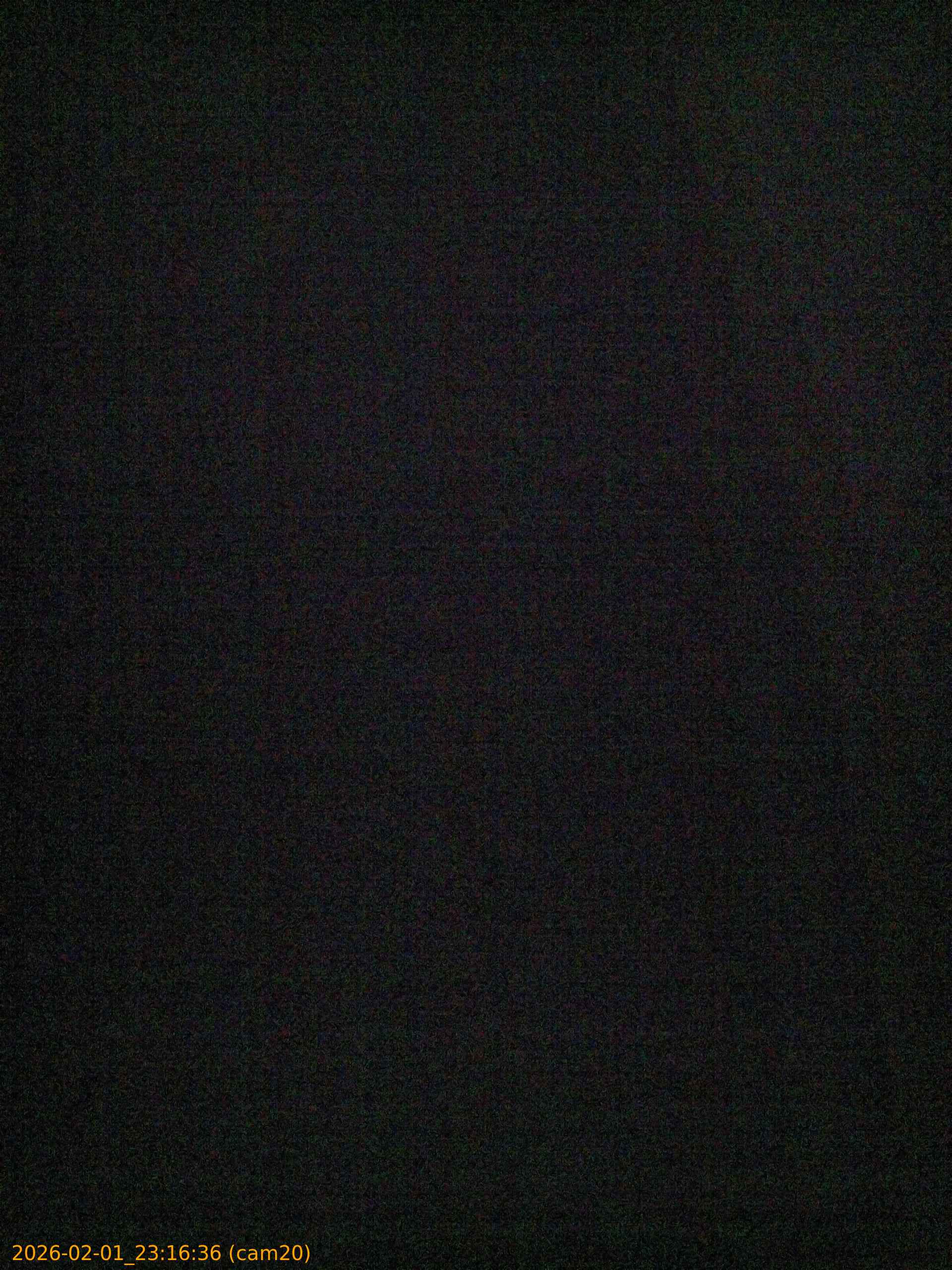 thumbnail_20260201231636