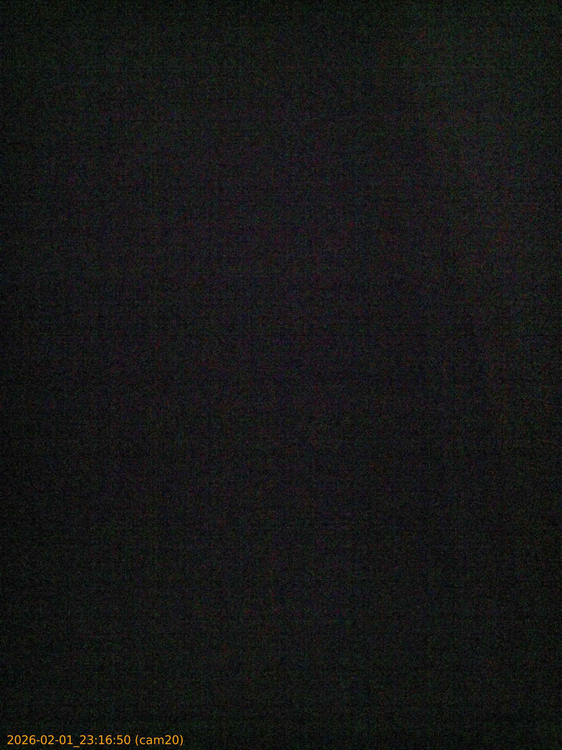 thumbnail_20260201231650