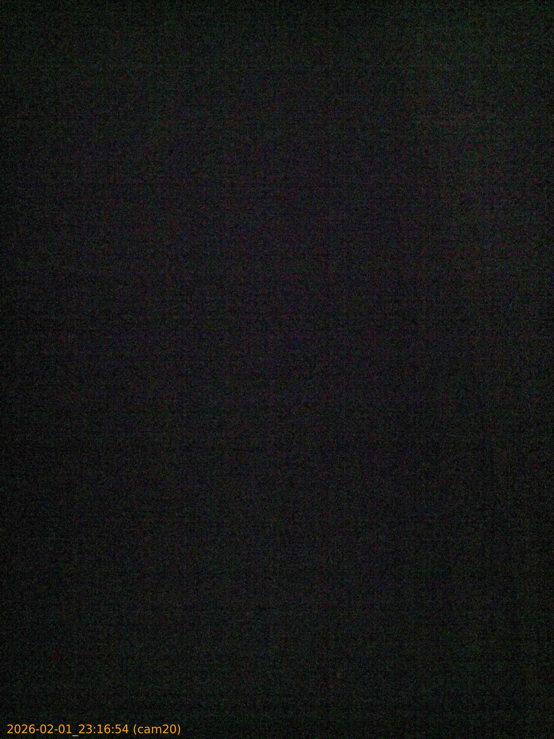 thumbnail_20260201231654