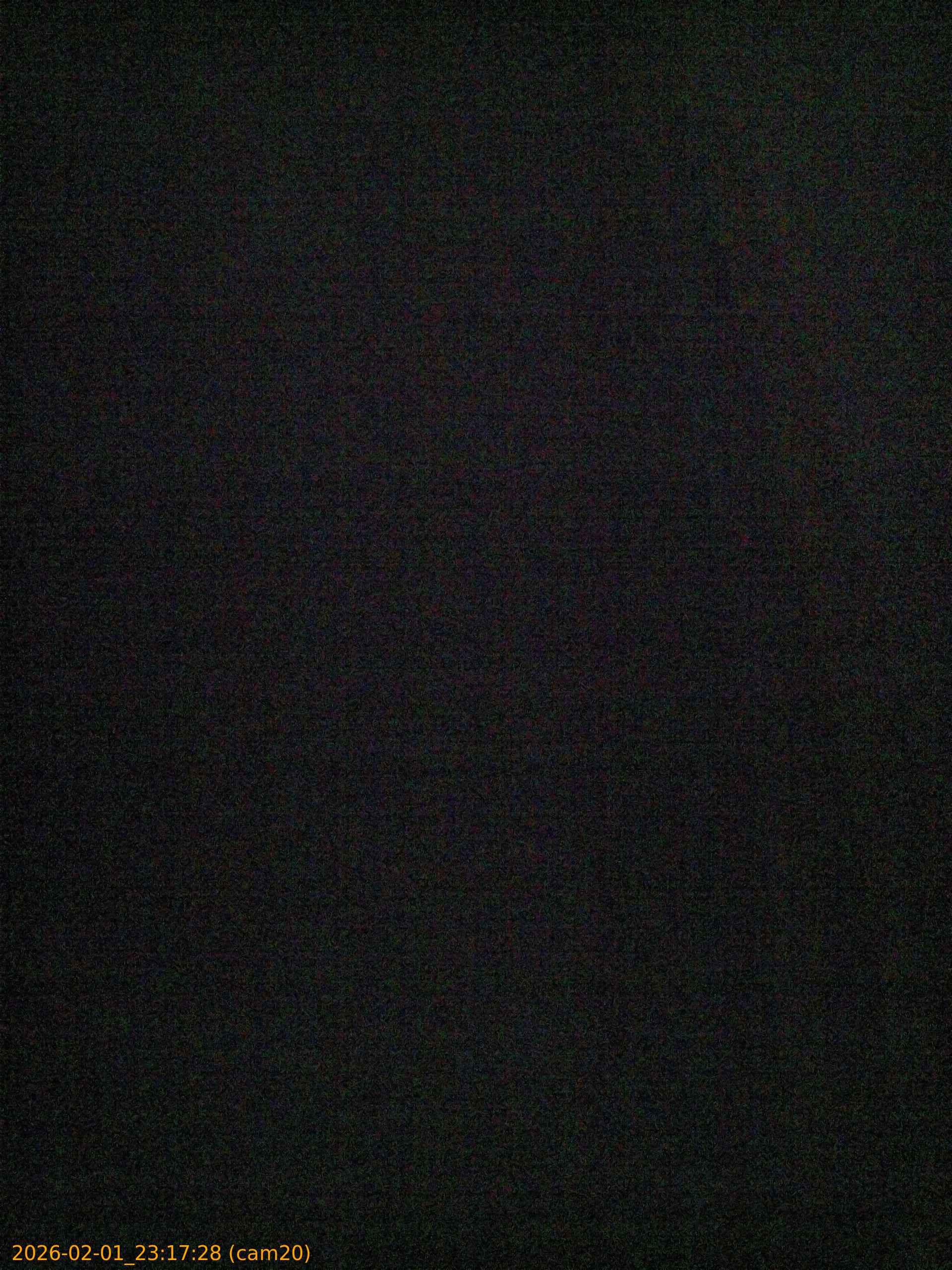 thumbnail_20260201231728