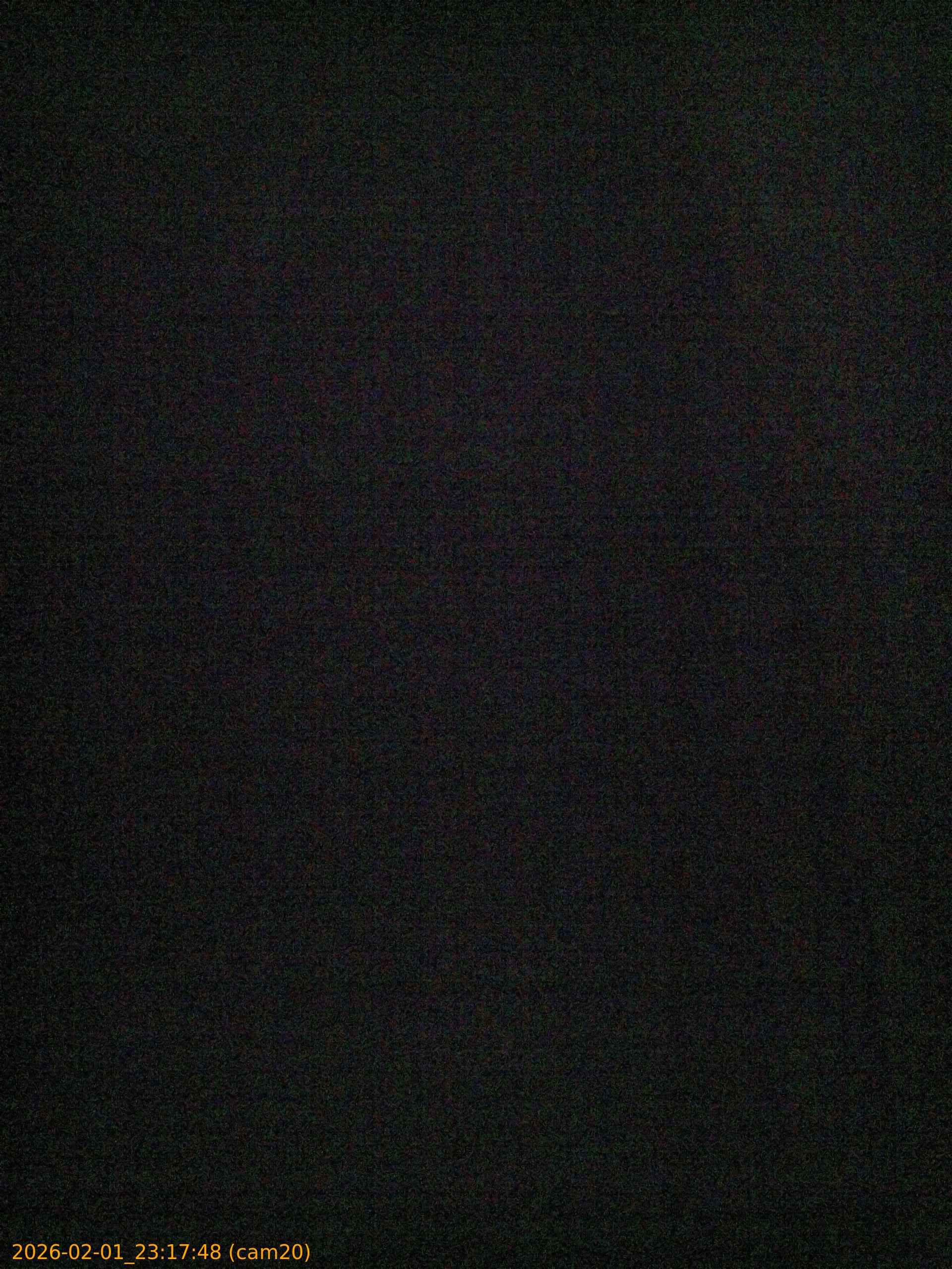 thumbnail_20260201231748