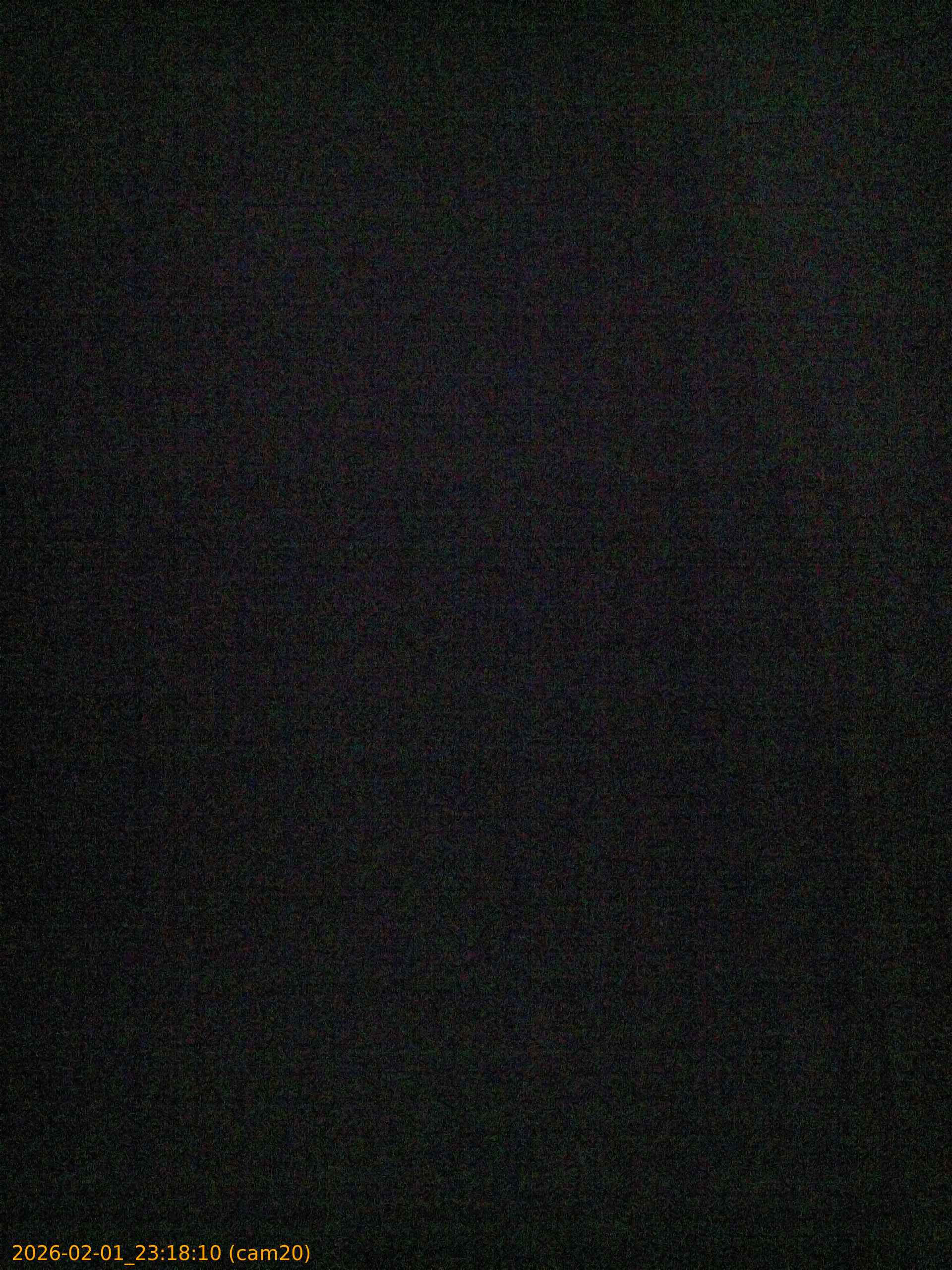 thumbnail_20260201231810