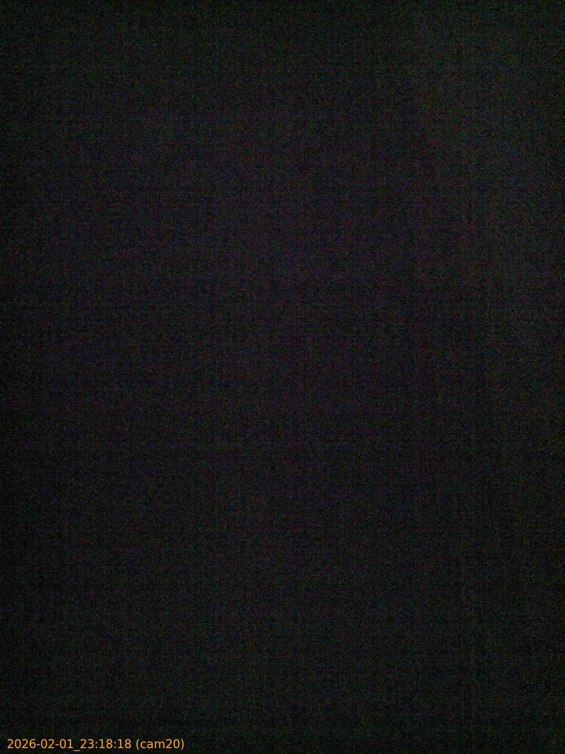 thumbnail_20260201231818