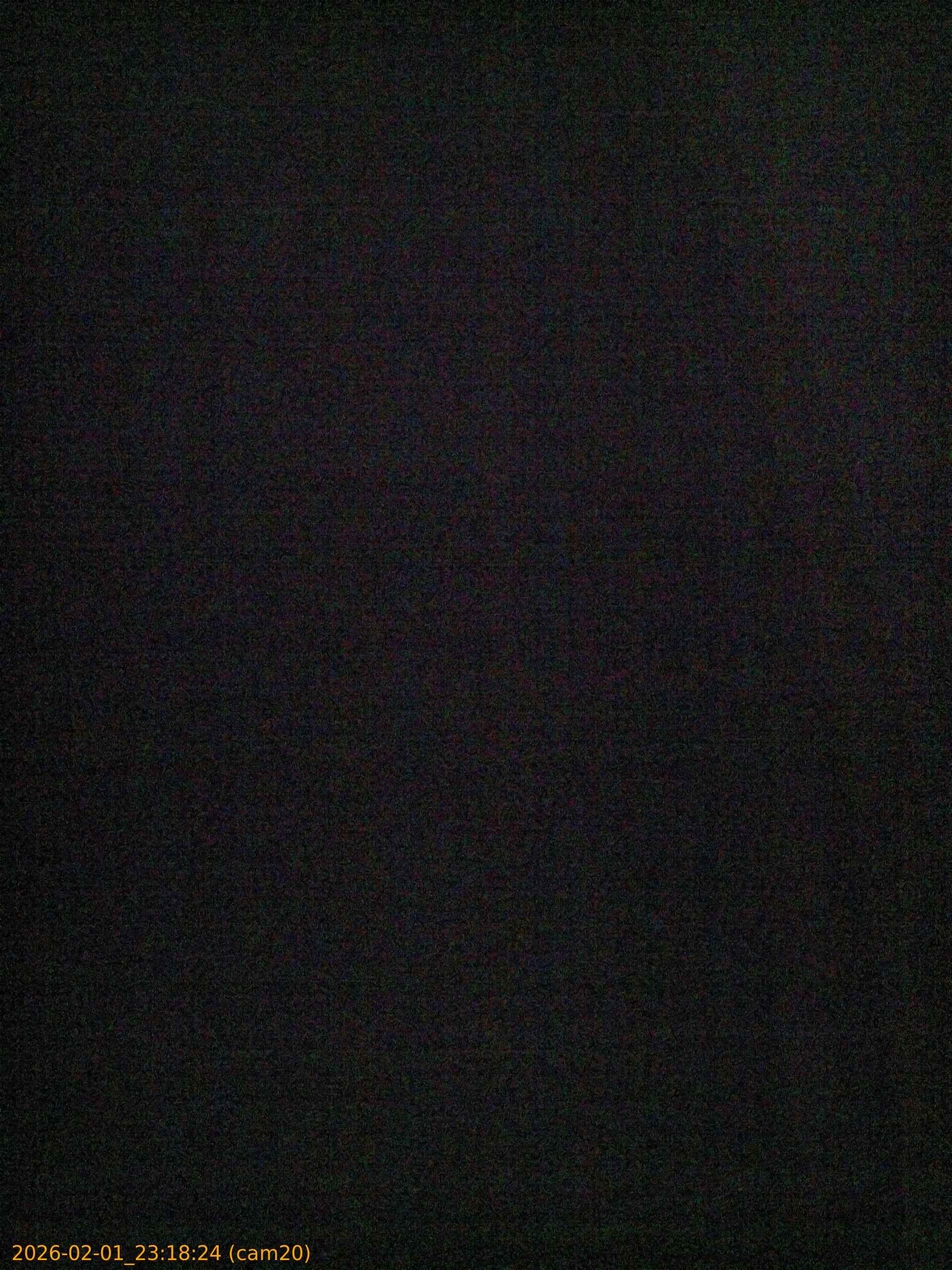 thumbnail_20260201231824