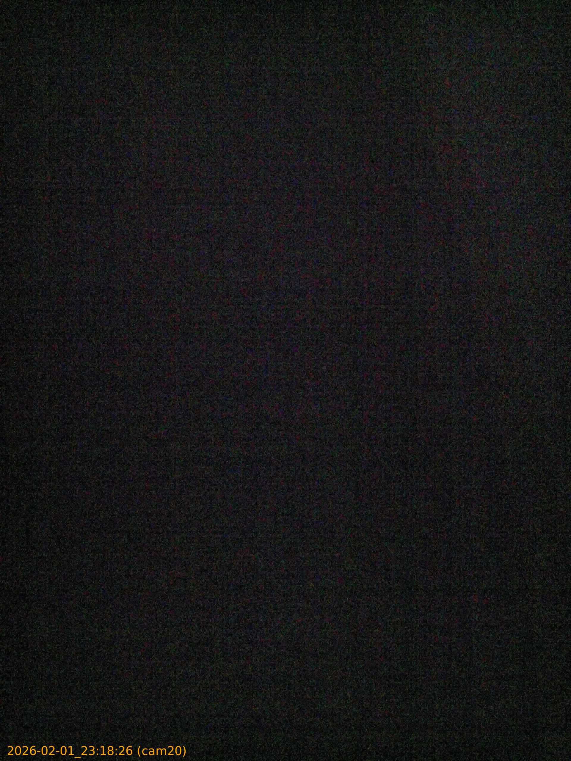 thumbnail_20260201231826