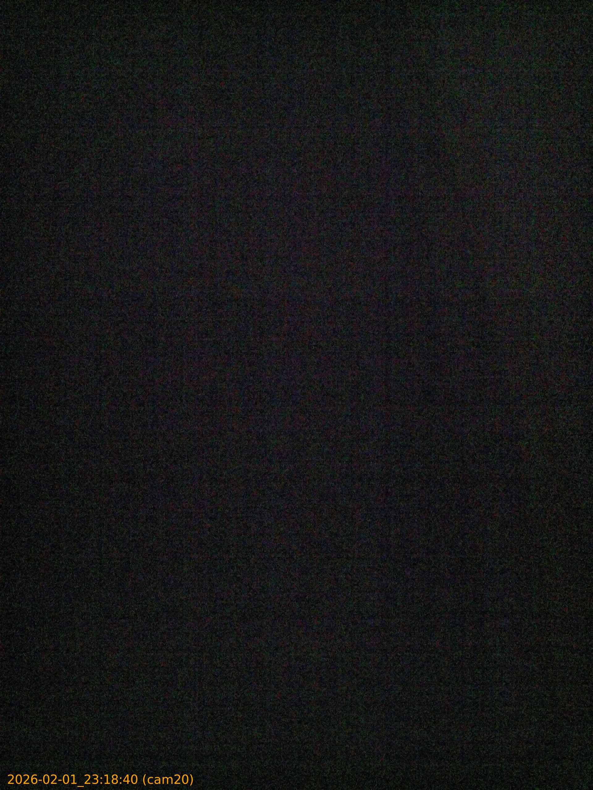 thumbnail_20260201231840