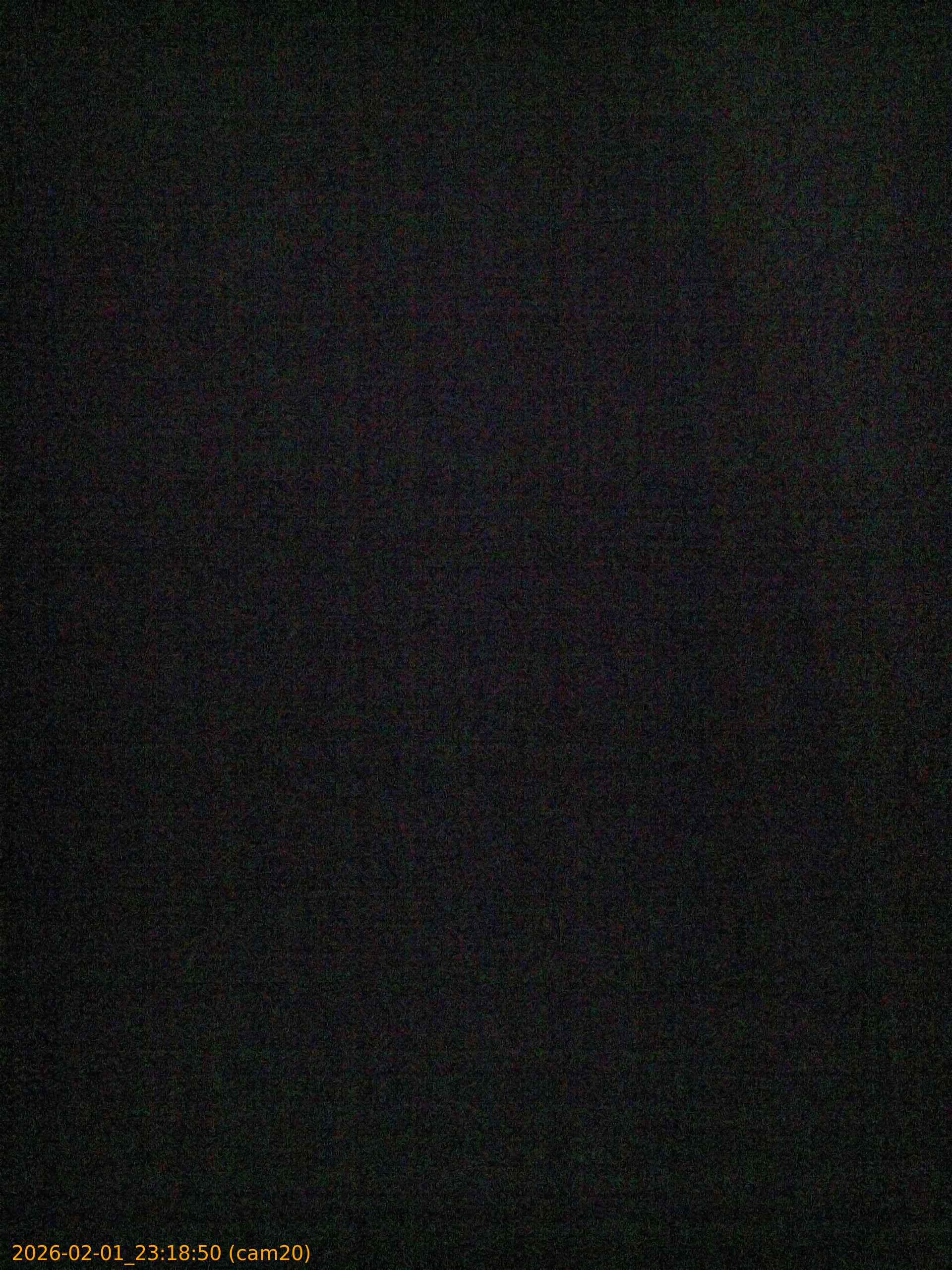 thumbnail_20260201231850