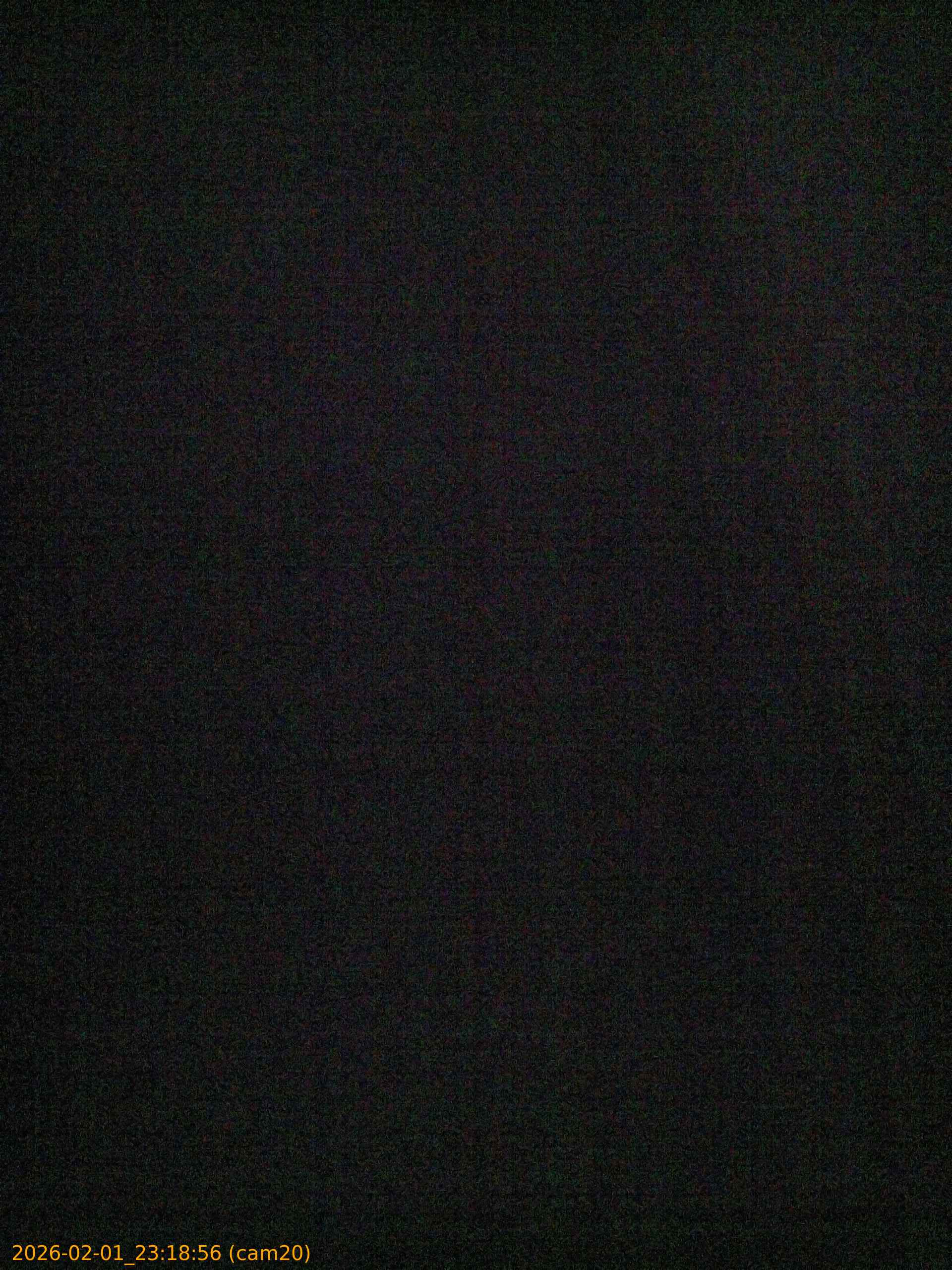 thumbnail_20260201231856