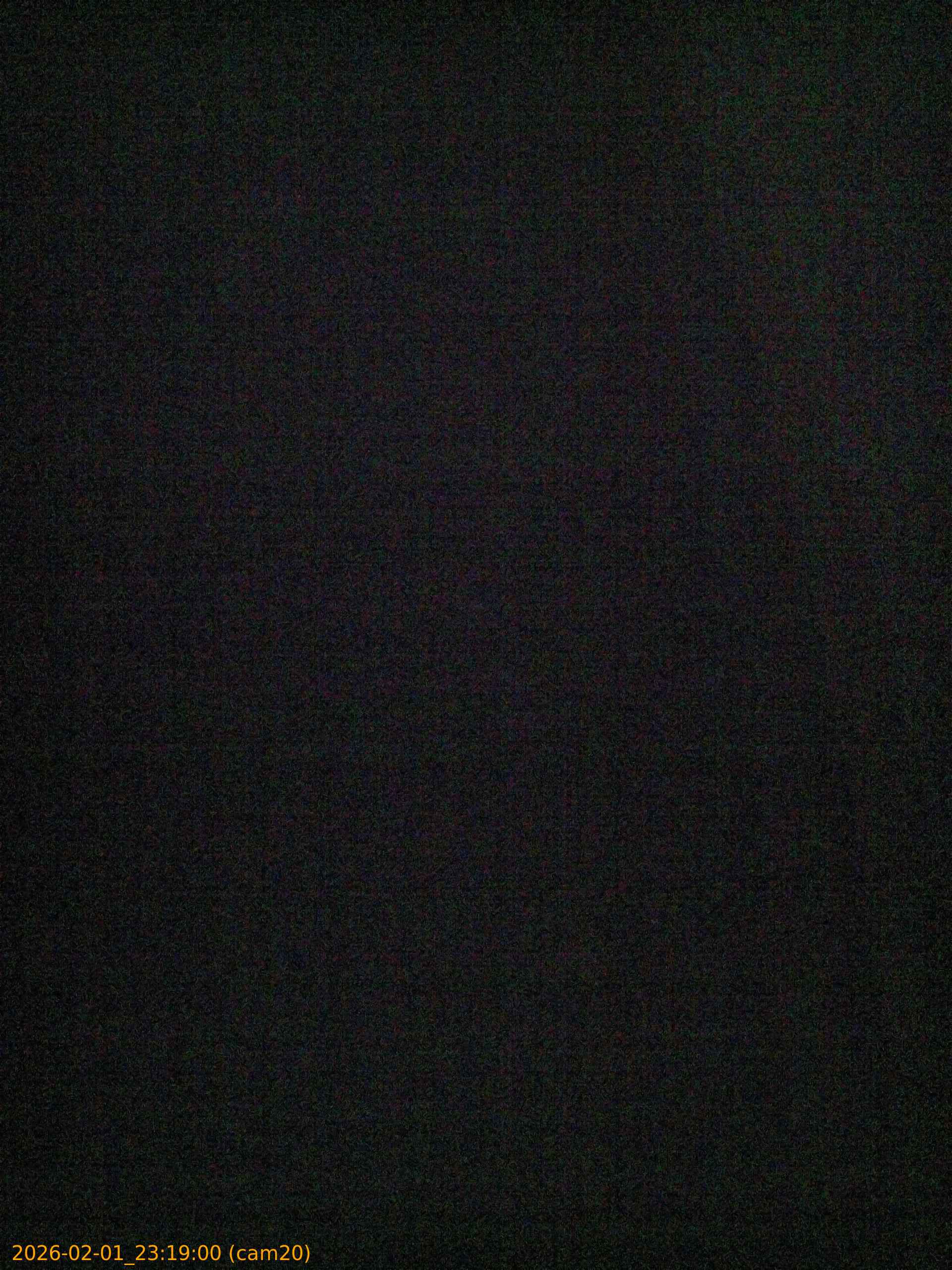 thumbnail_20260201231900