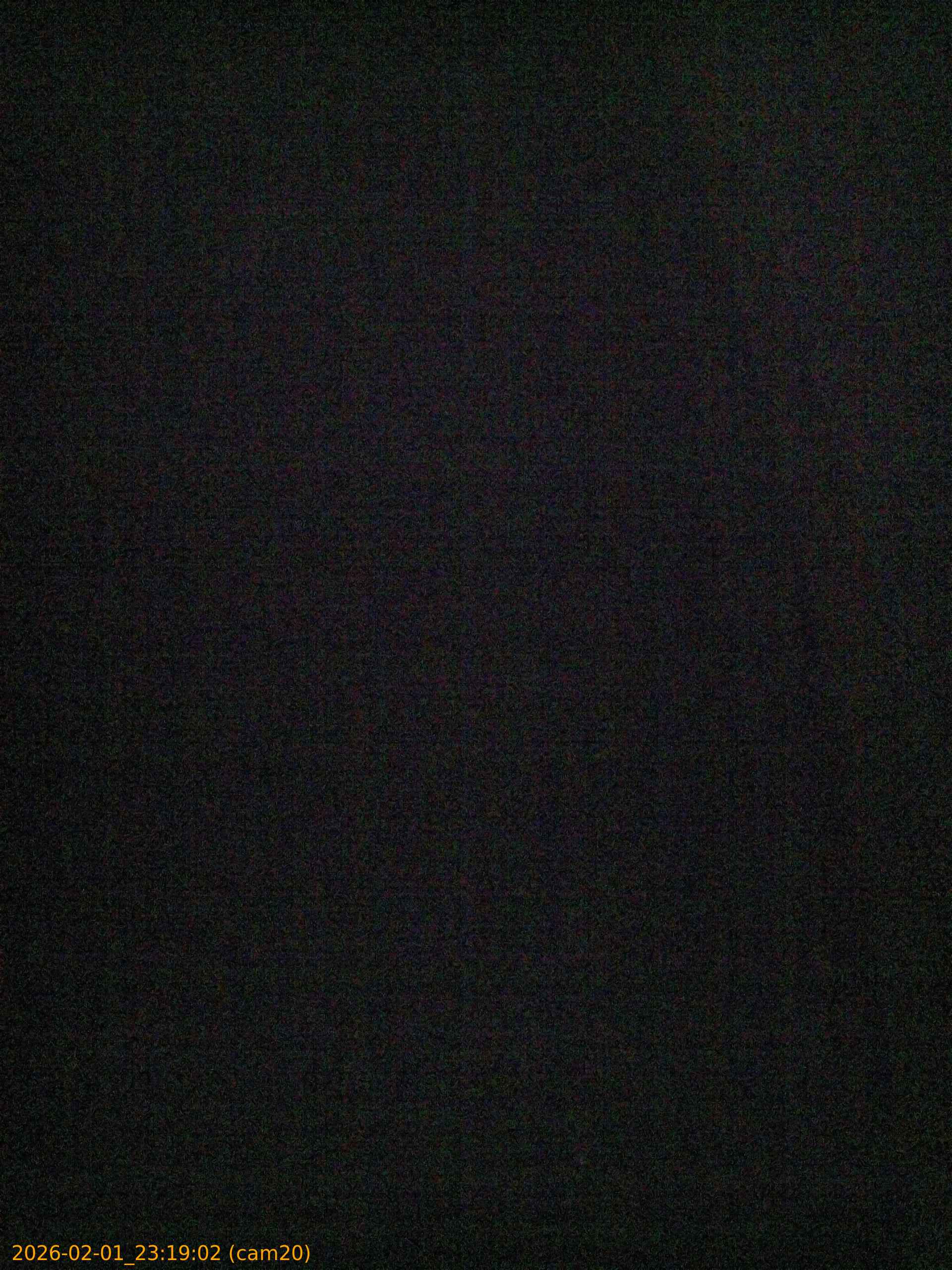 thumbnail_20260201231902