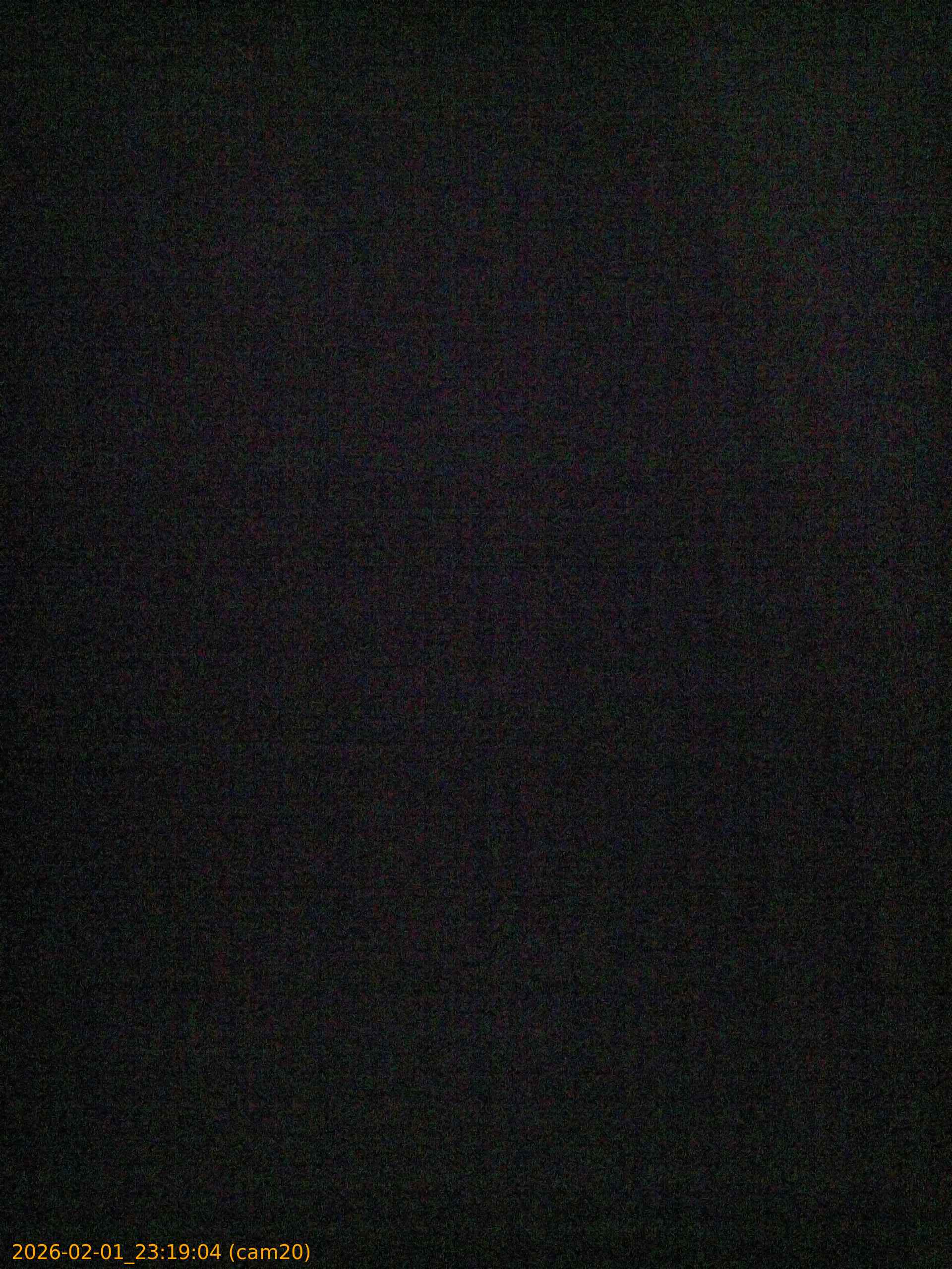 thumbnail_20260201231904