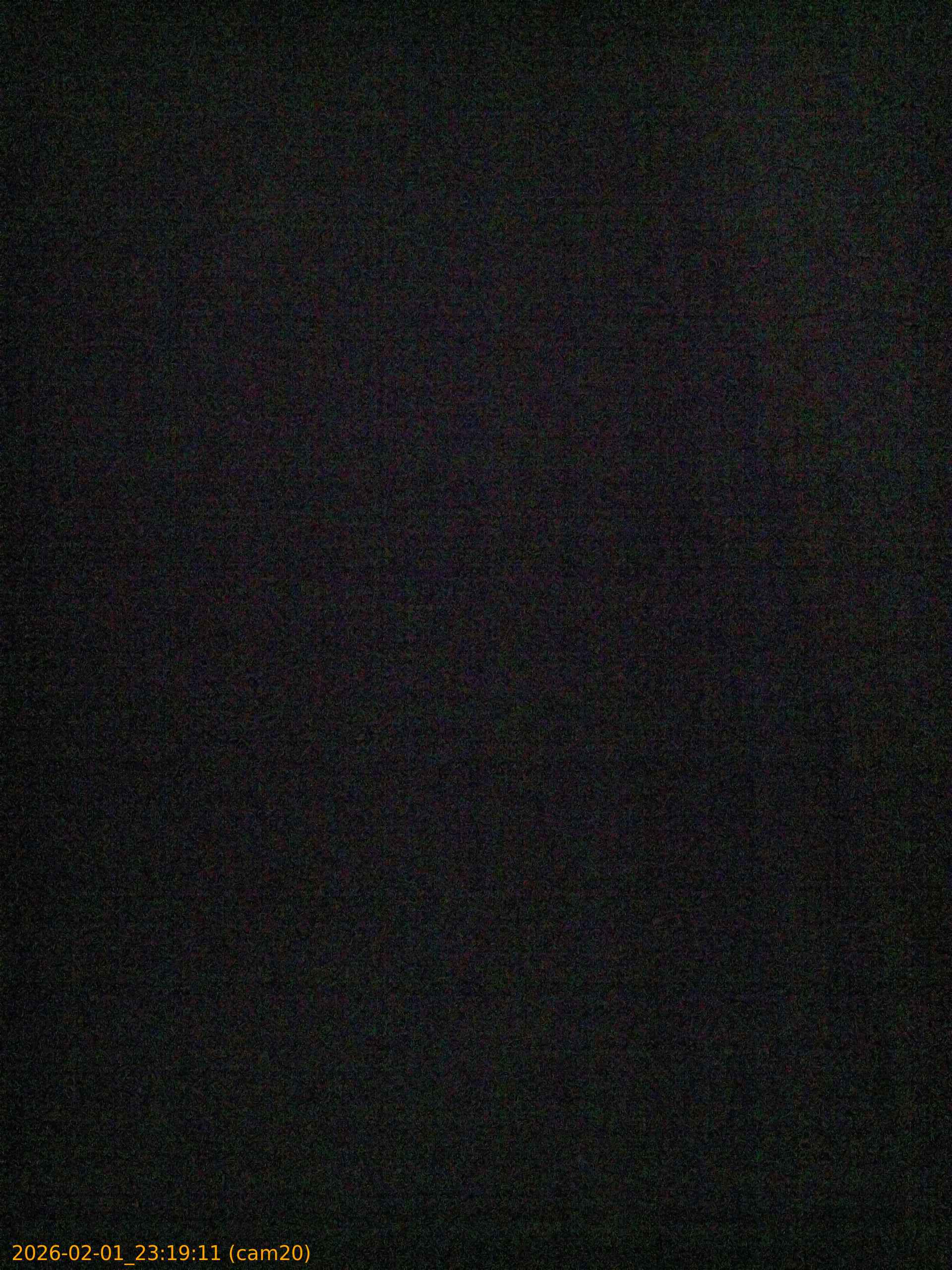 thumbnail_20260201231911