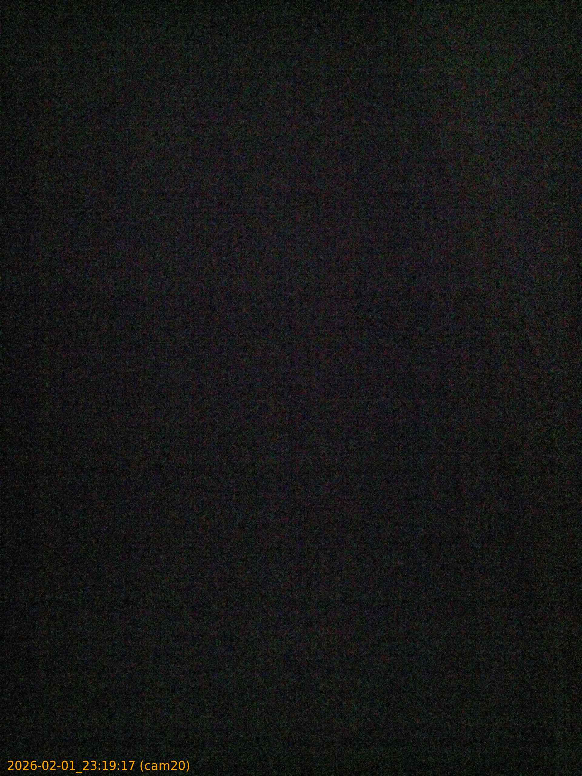 thumbnail_20260201231917