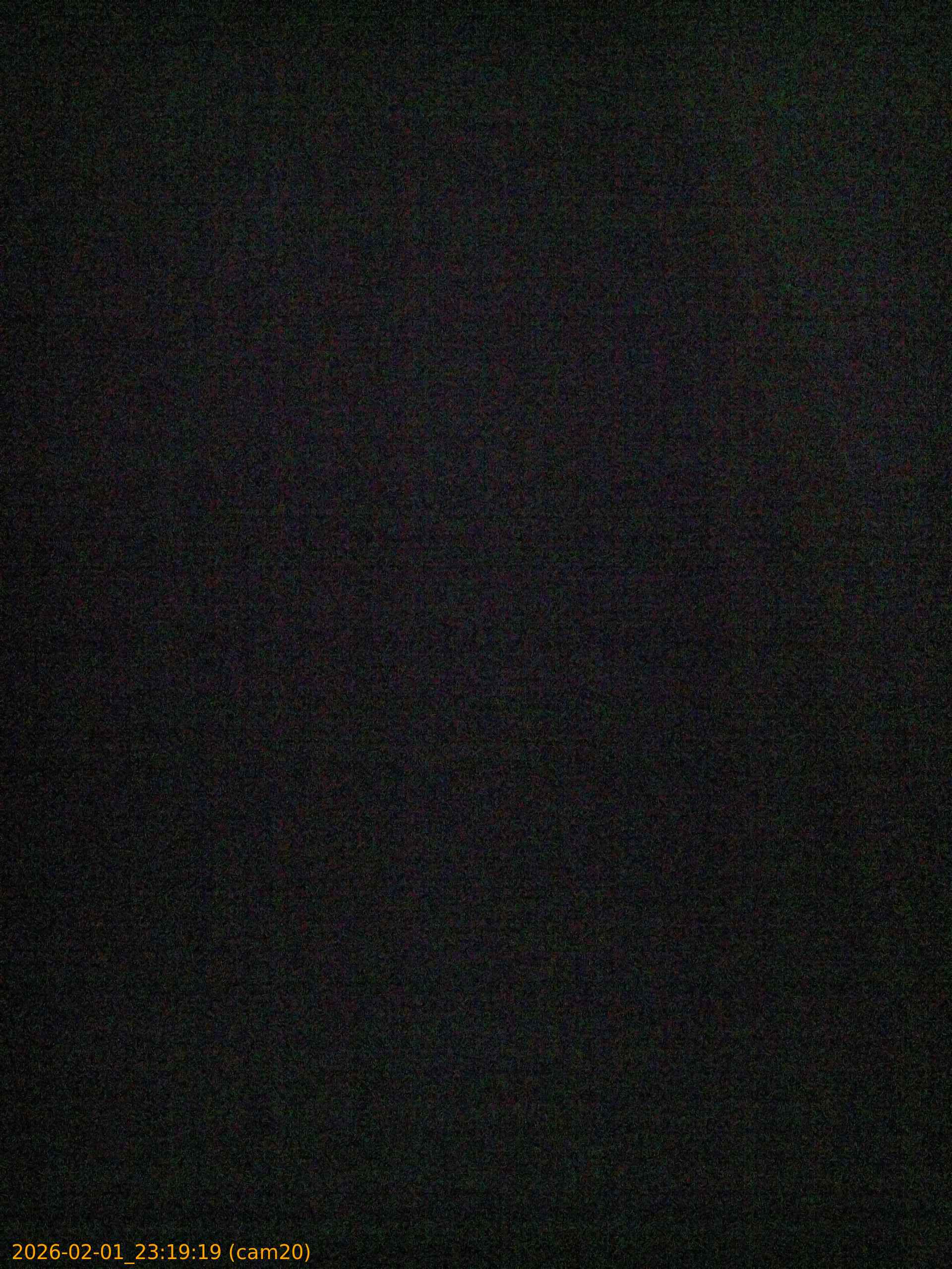 thumbnail_20260201231919