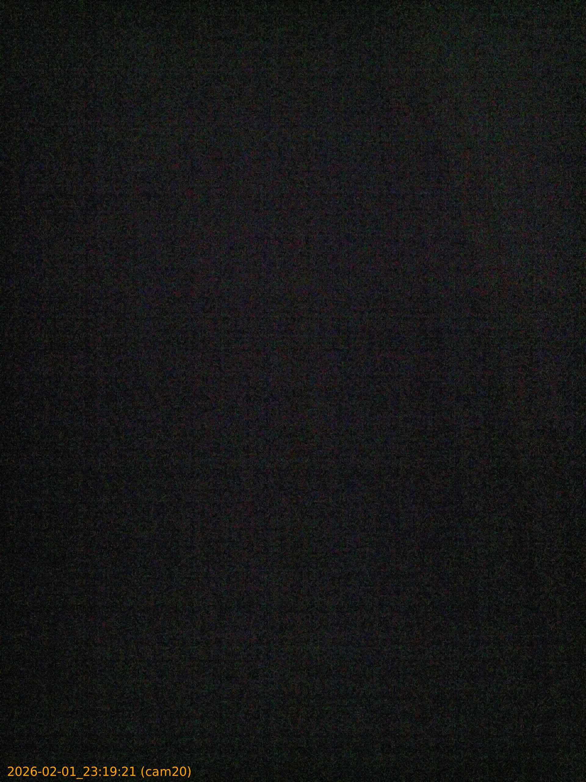 thumbnail_20260201231921