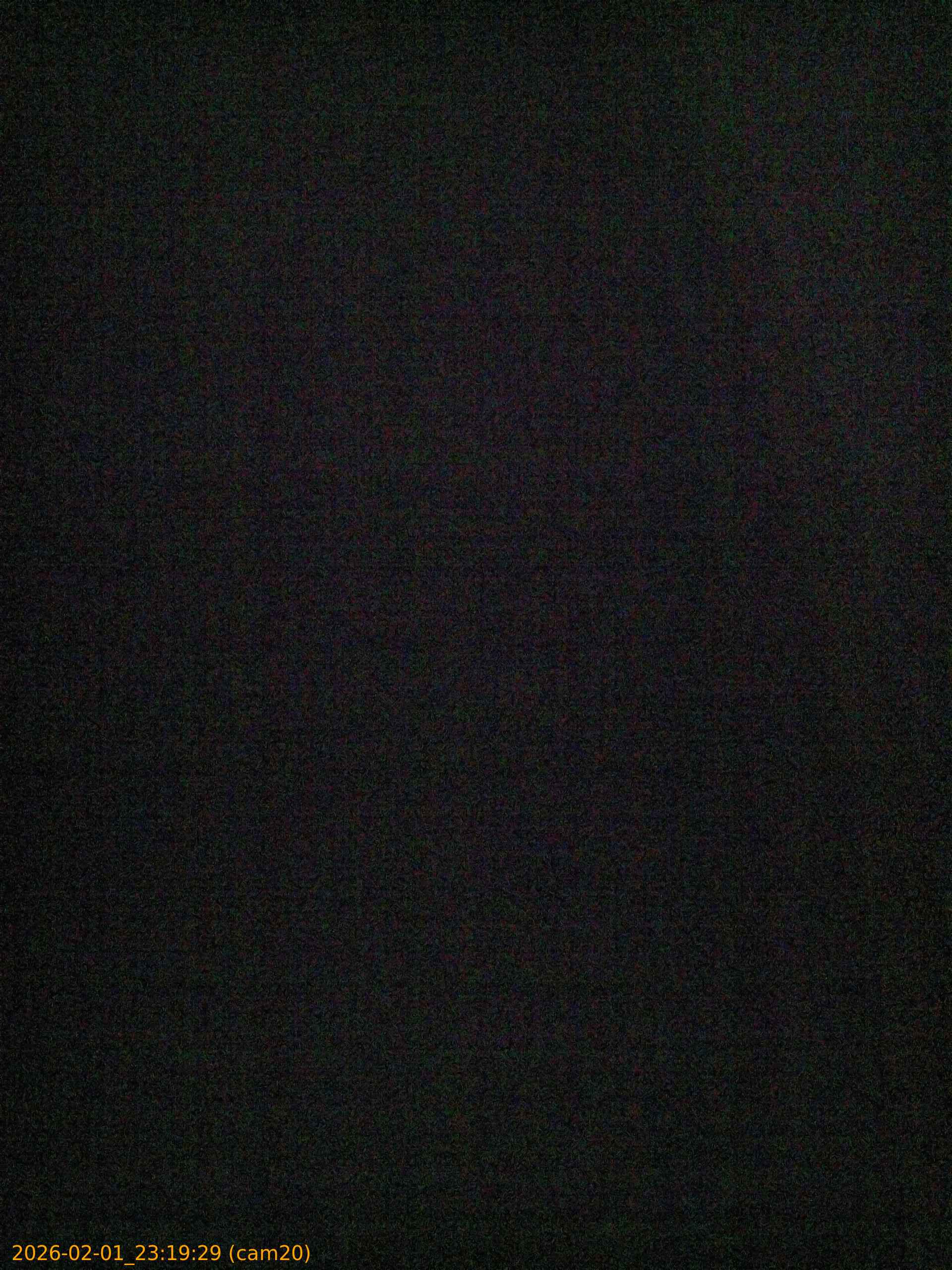 thumbnail_20260201231929