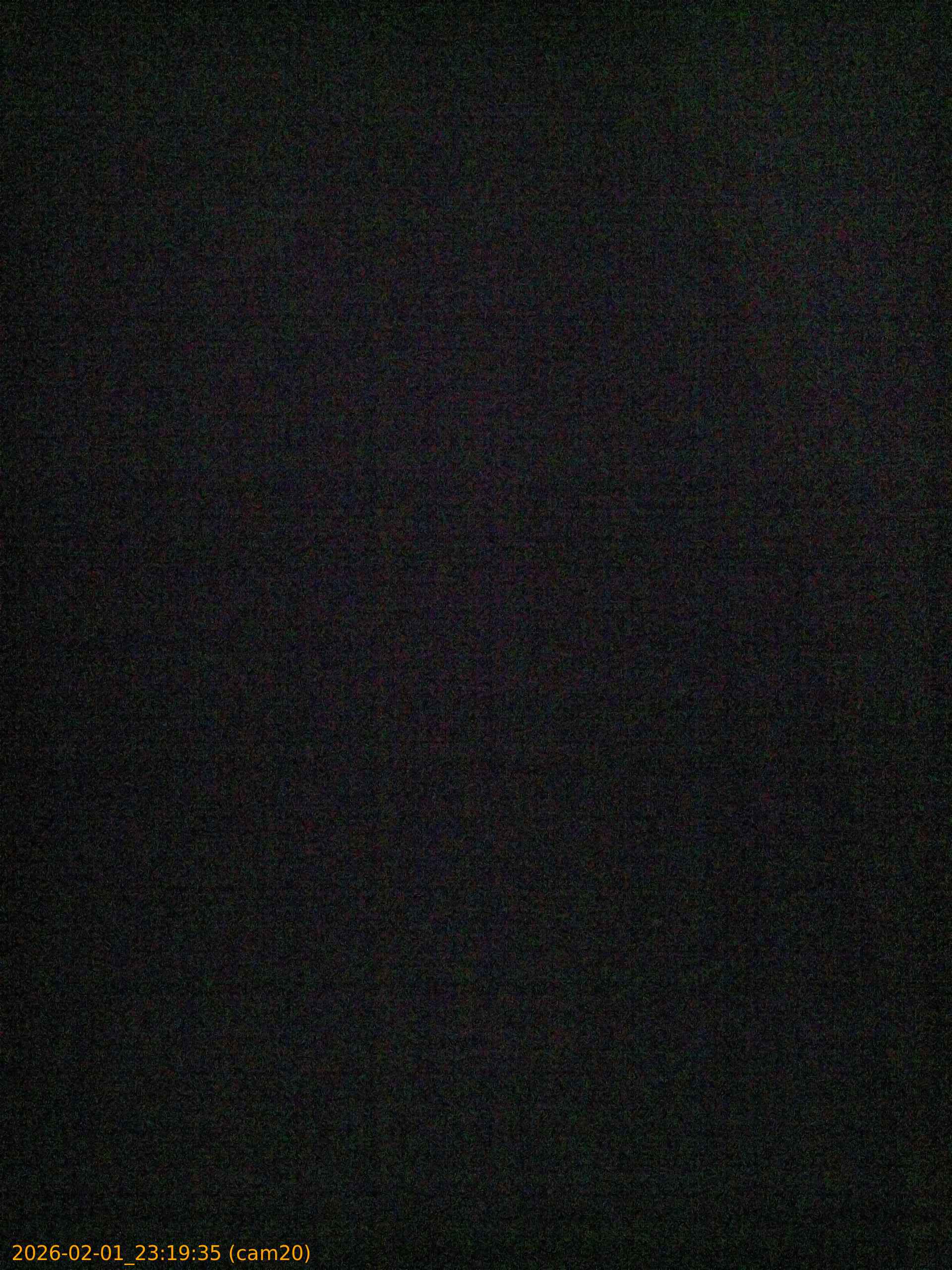 thumbnail_20260201231935