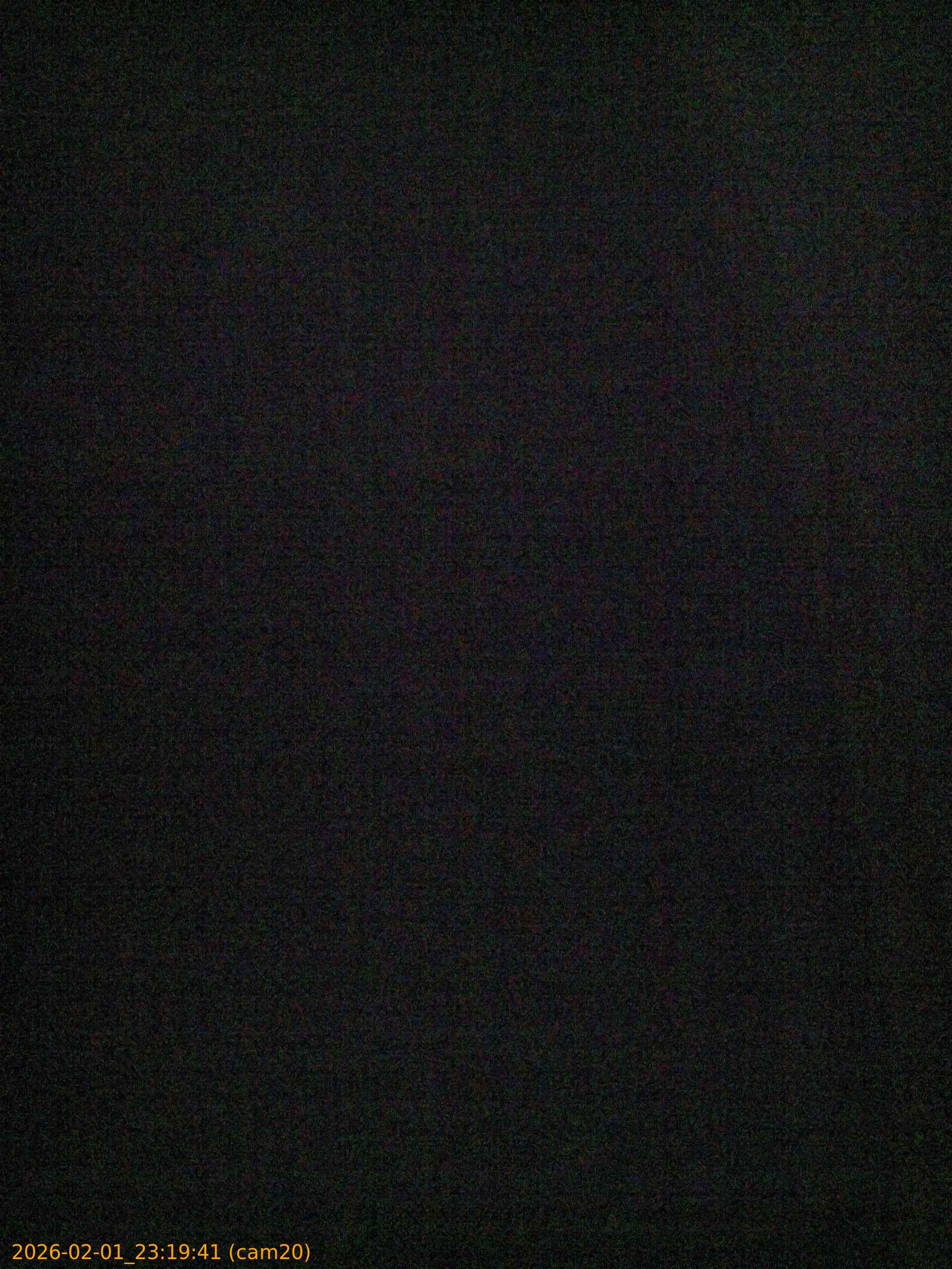 thumbnail_20260201231941