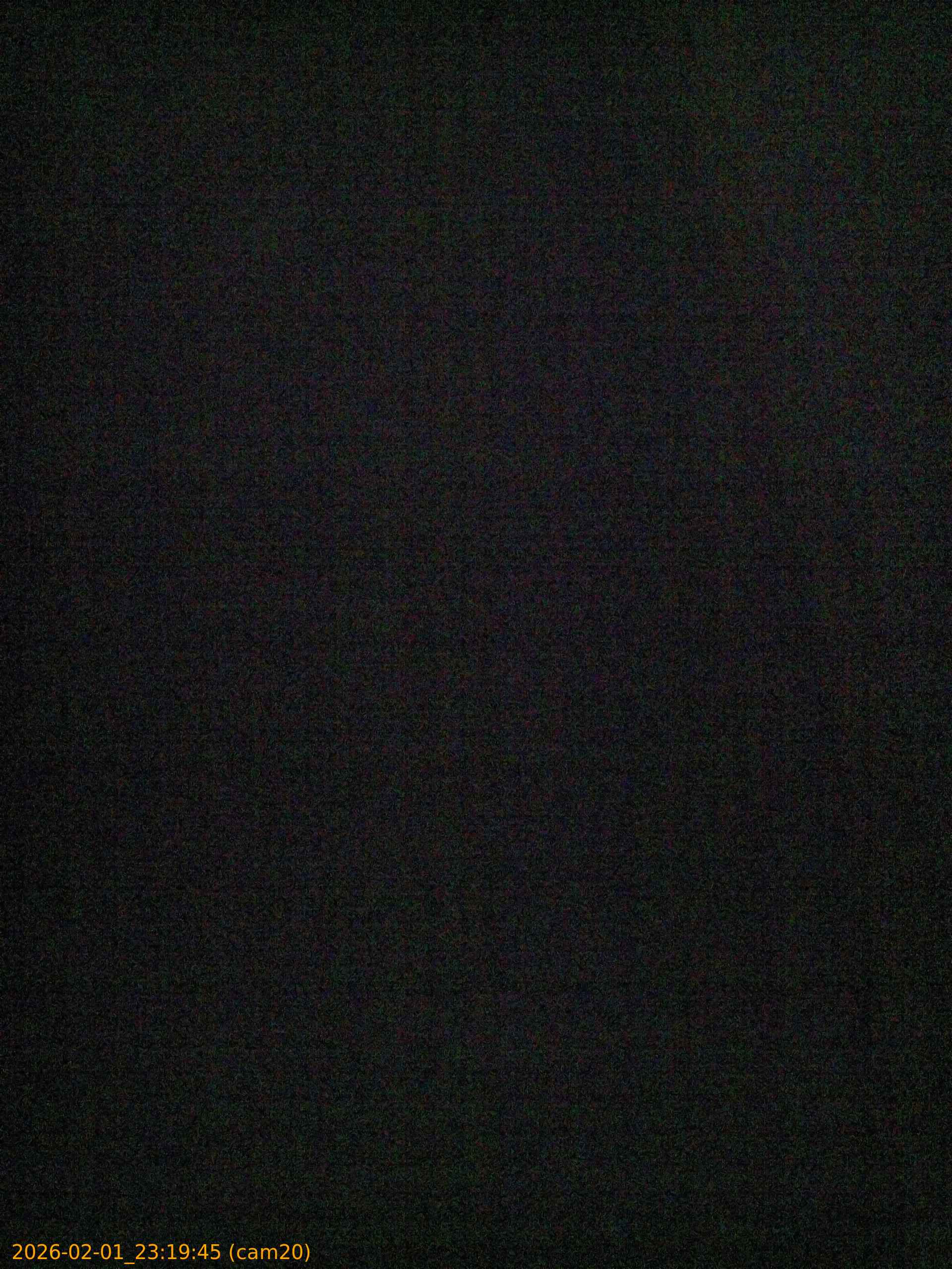 thumbnail_20260201231945