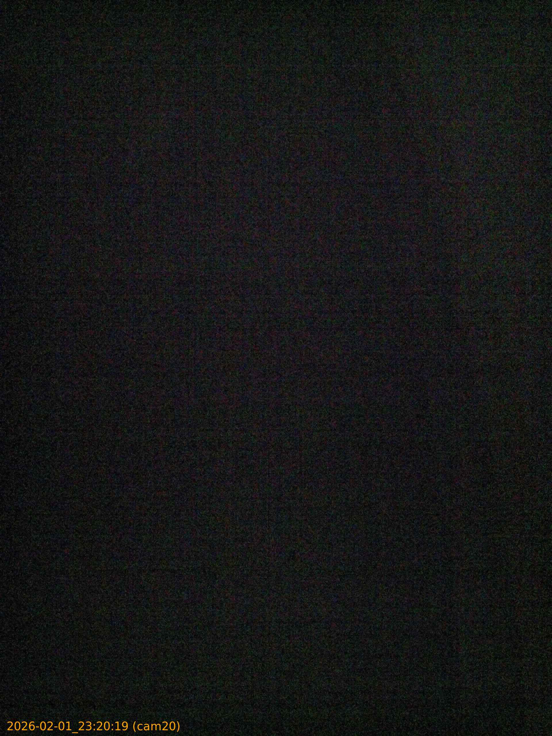 thumbnail_20260201232019