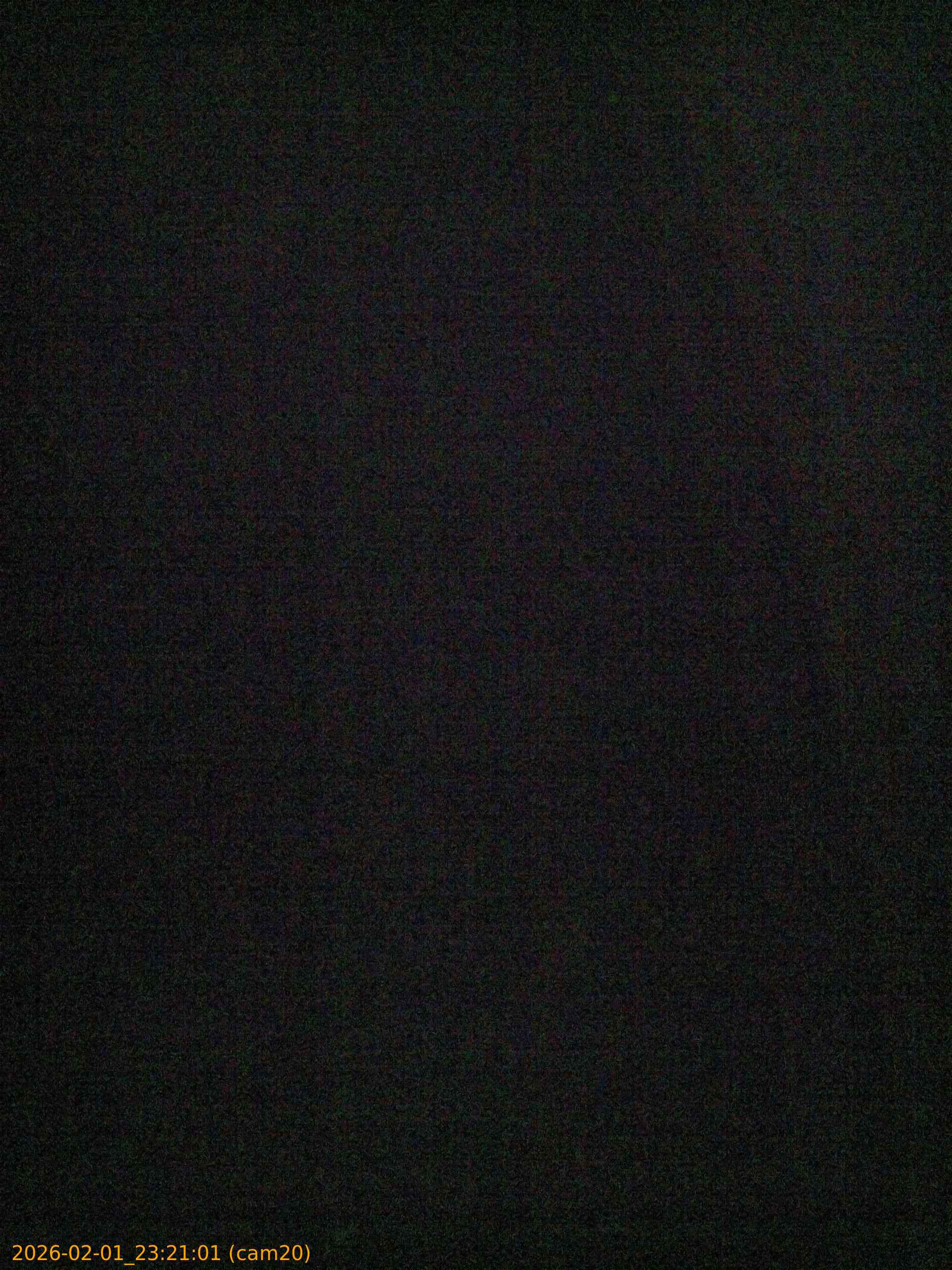 thumbnail_20260201232101