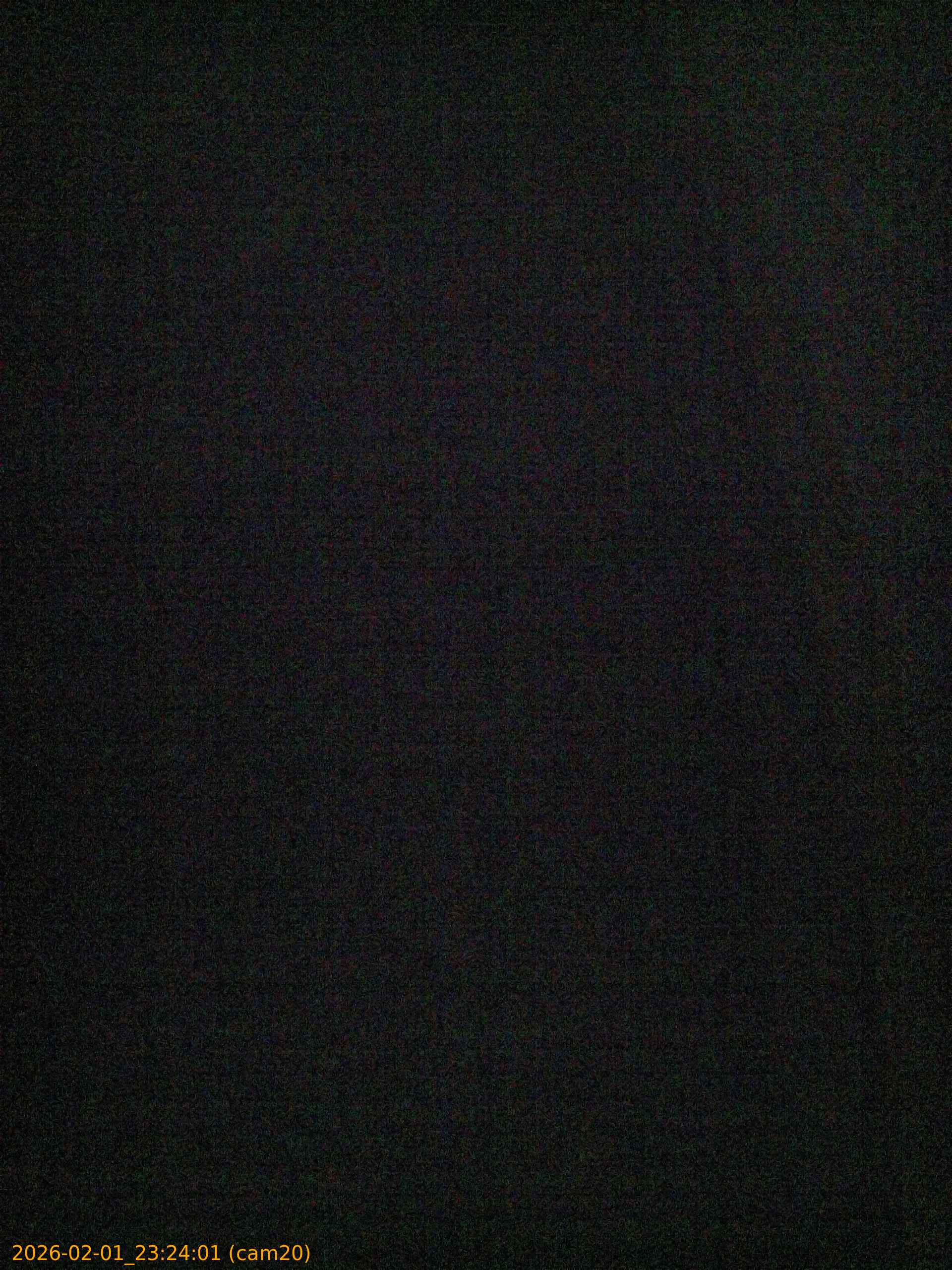 thumbnail_20260201232401