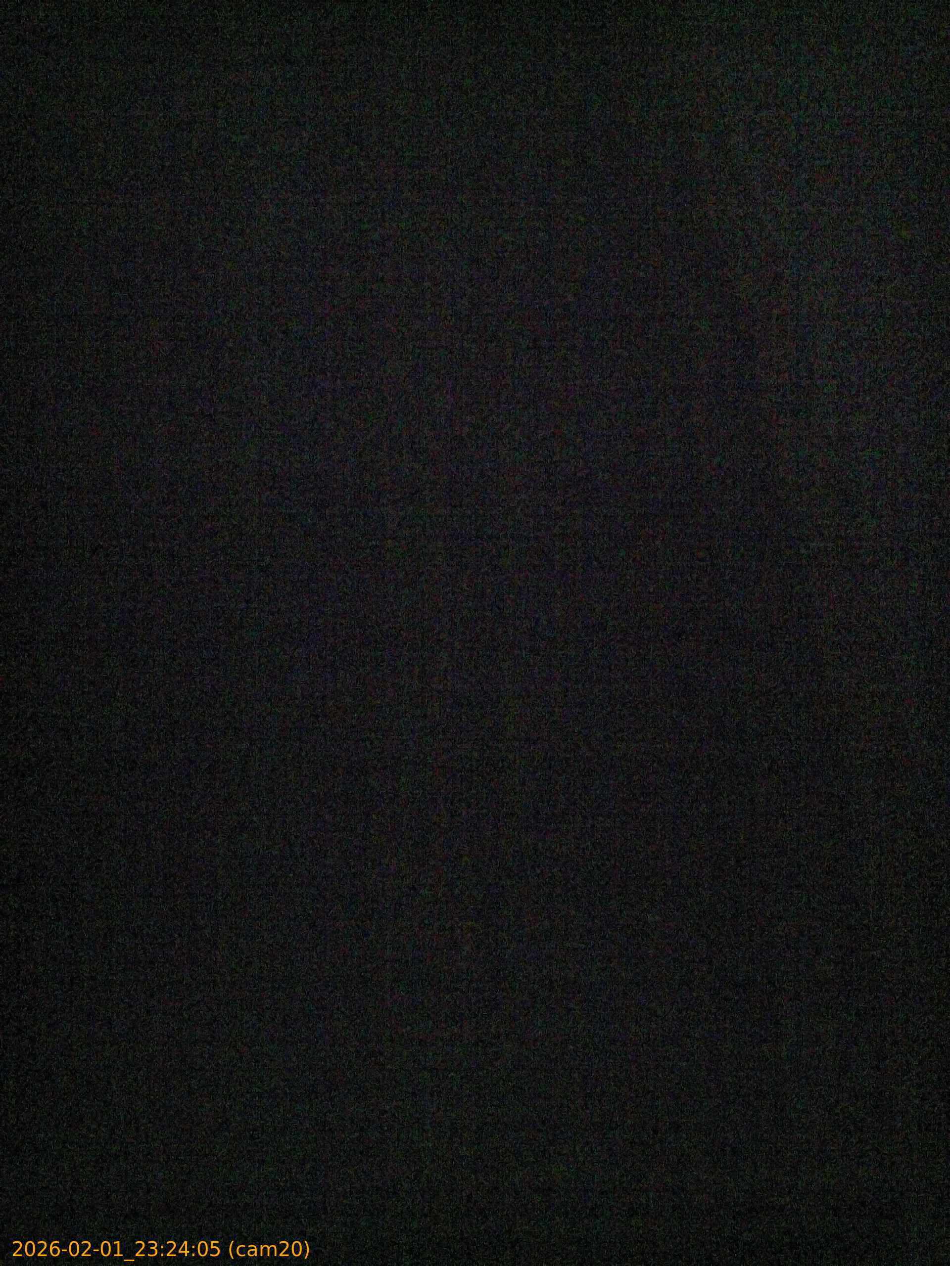 thumbnail_20260201232405